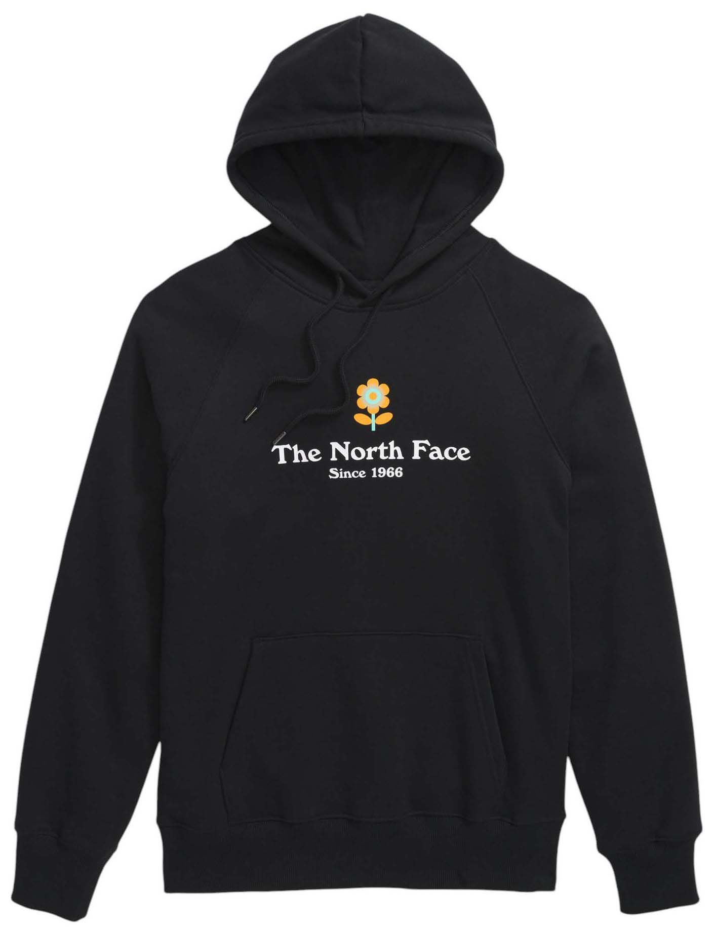 THe North Face Women's Strange Colorful World Hoodie product image