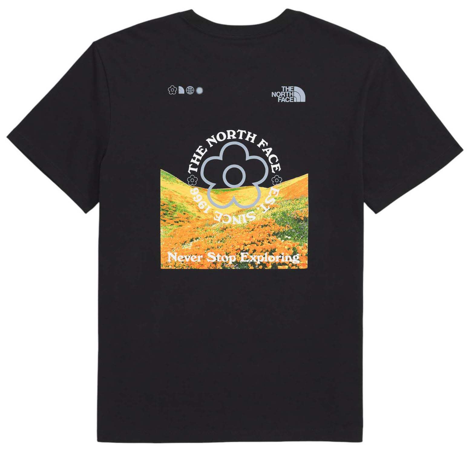 The North Face Women's Strange Colorful World Tee product image