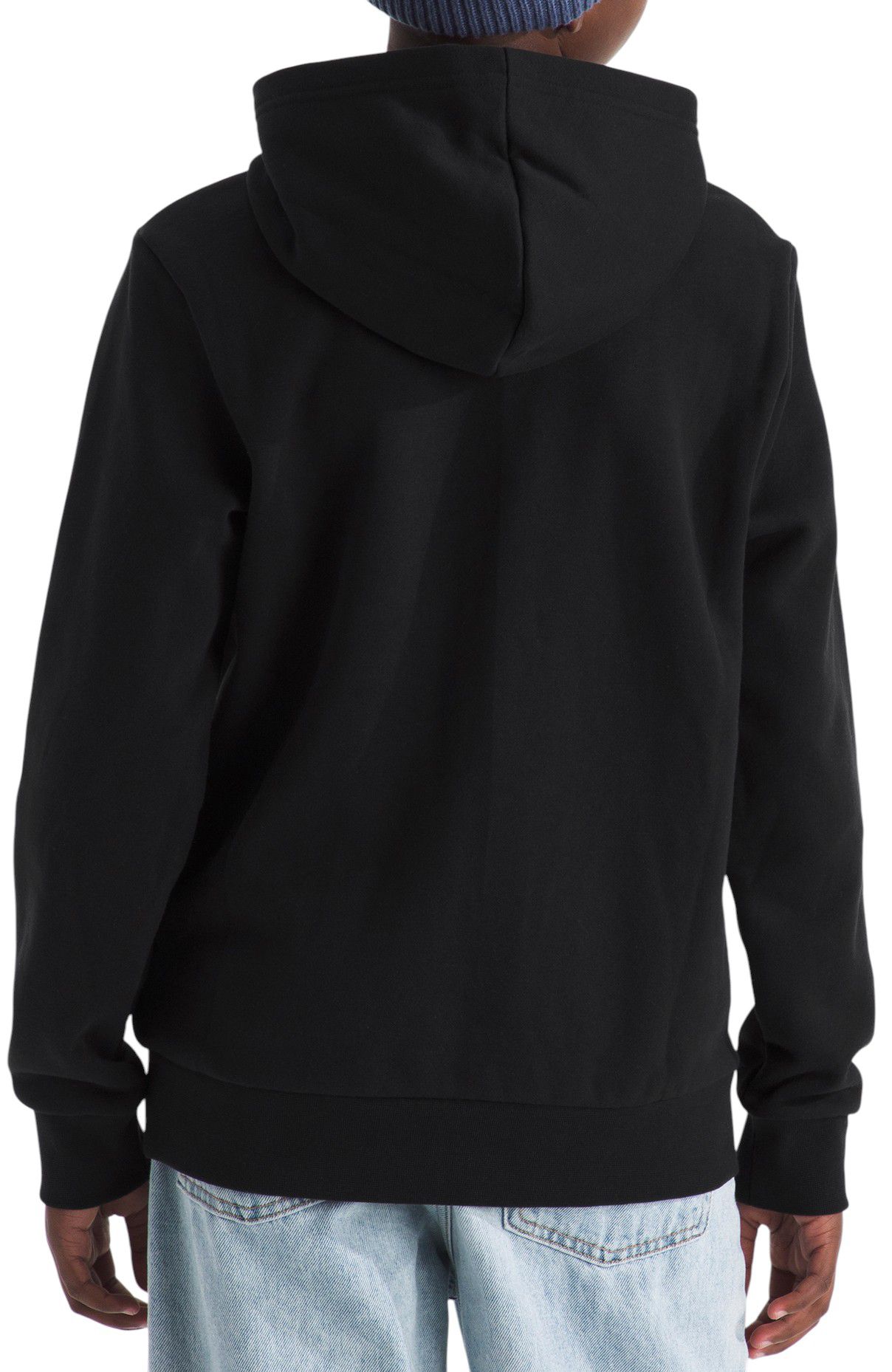 The North Face Kids' Evolution Half Dome Hoodie product image
