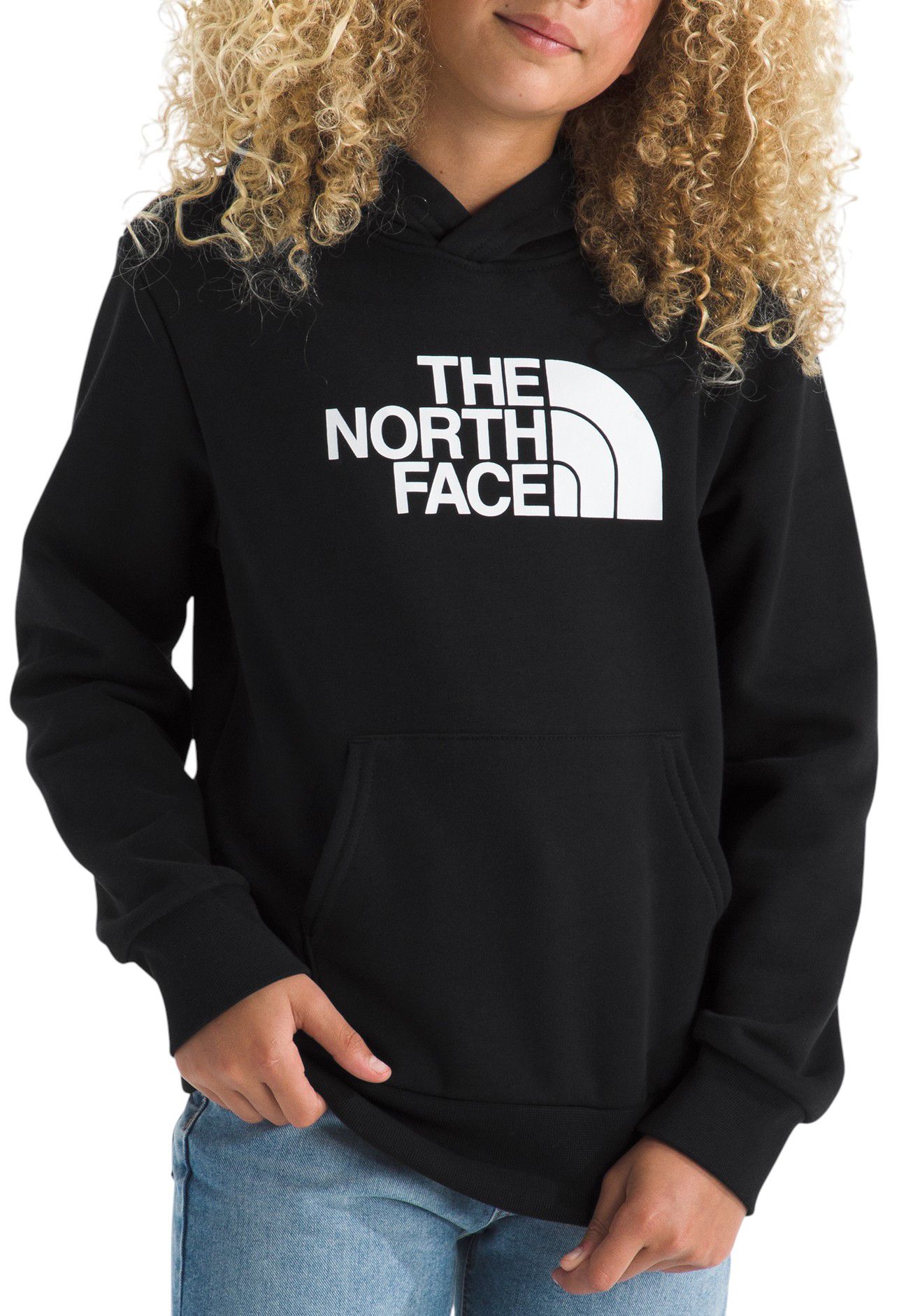 The North Face Kids' Evolution Half Dome Hoodie product image