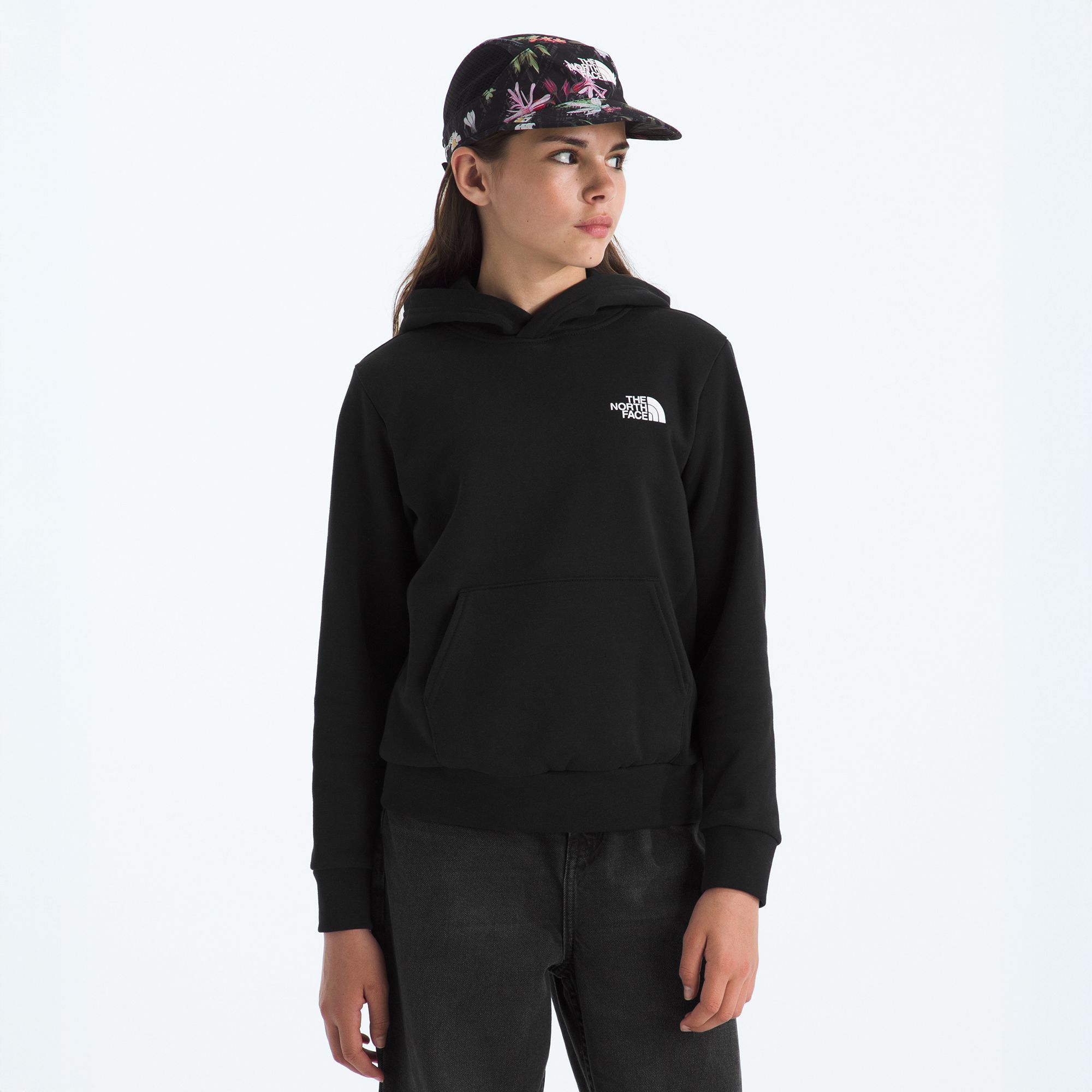 The North Face Kids' Evolution Box NSE Pullover Hoodie product image