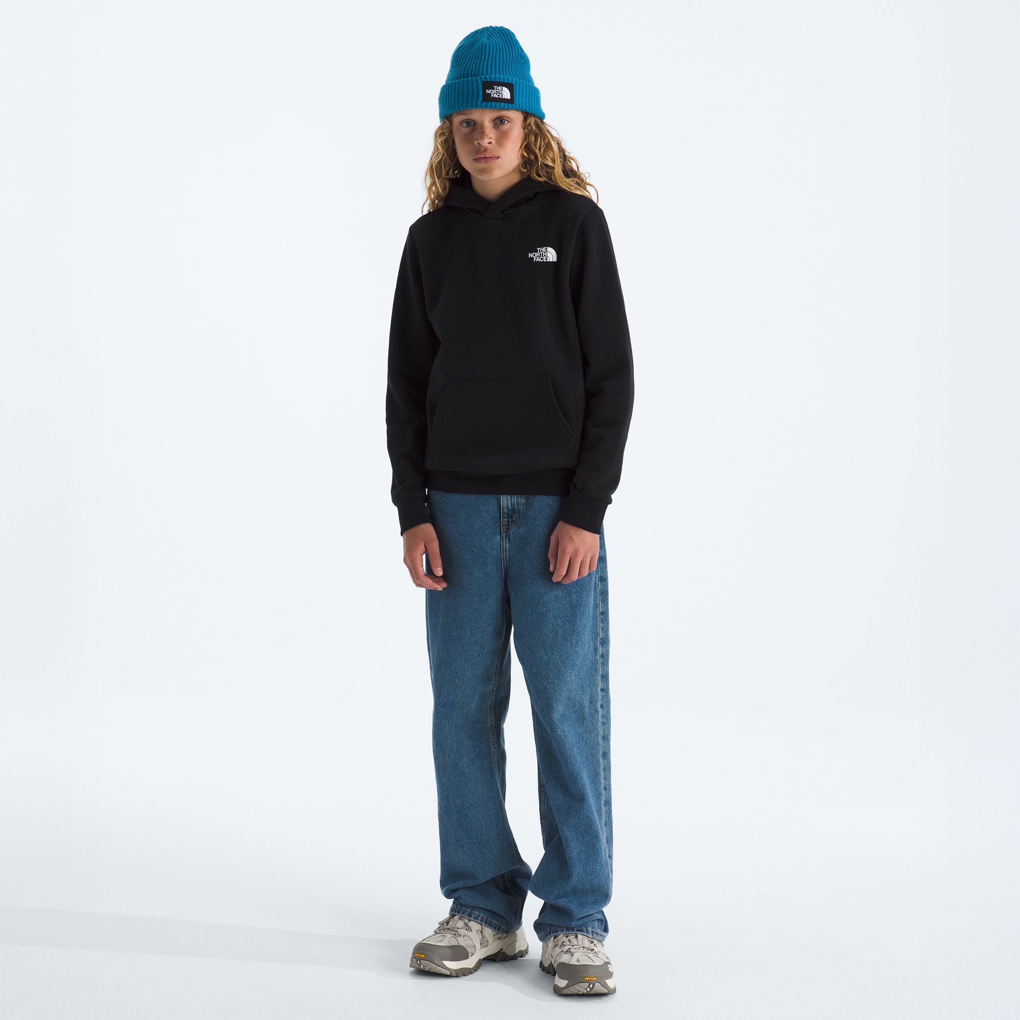 The North Face Kids' Evolution Box NSE Pullover Hoodie product image
