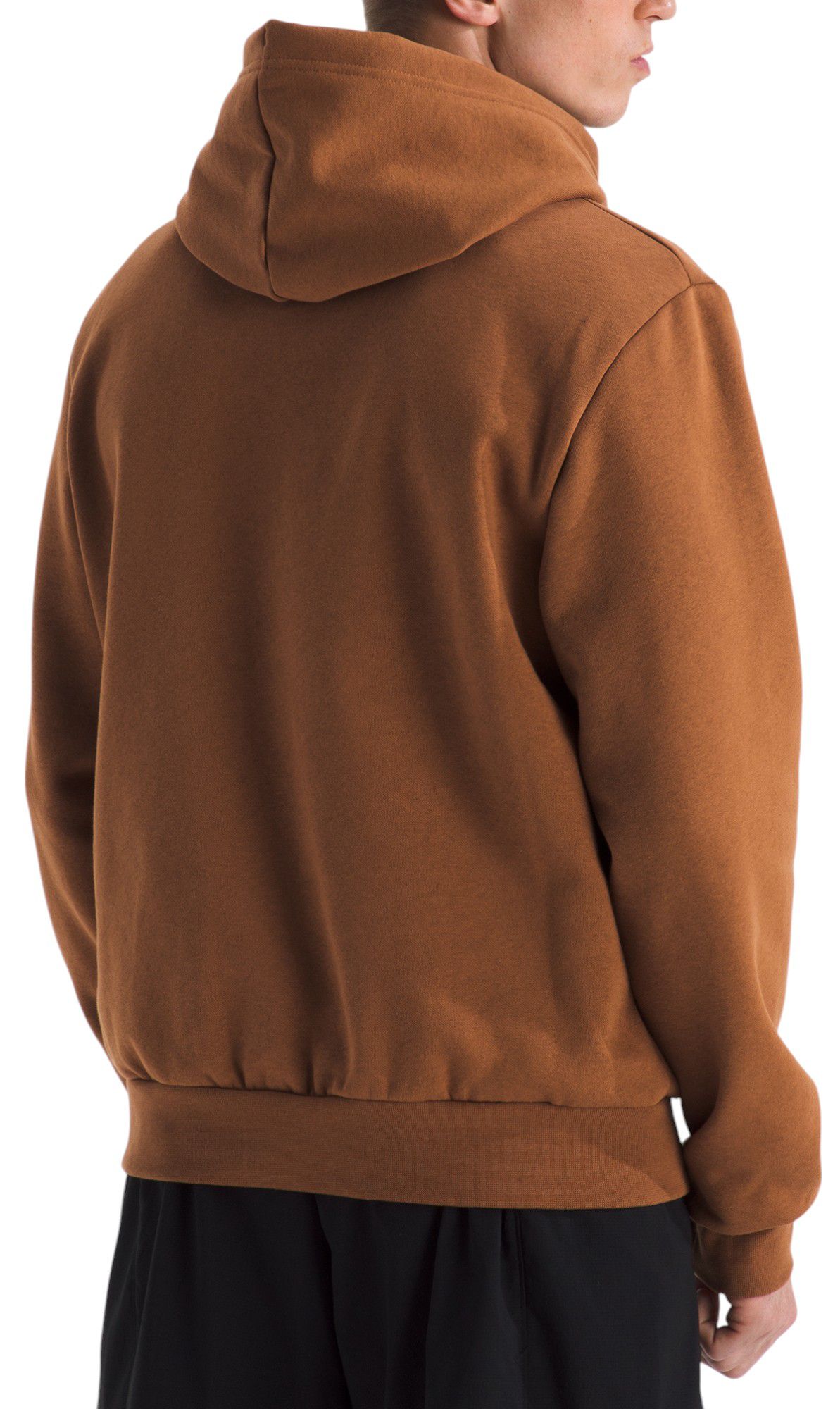 The North Face Men's Evolution Hoodie Dick's Sporting Goods