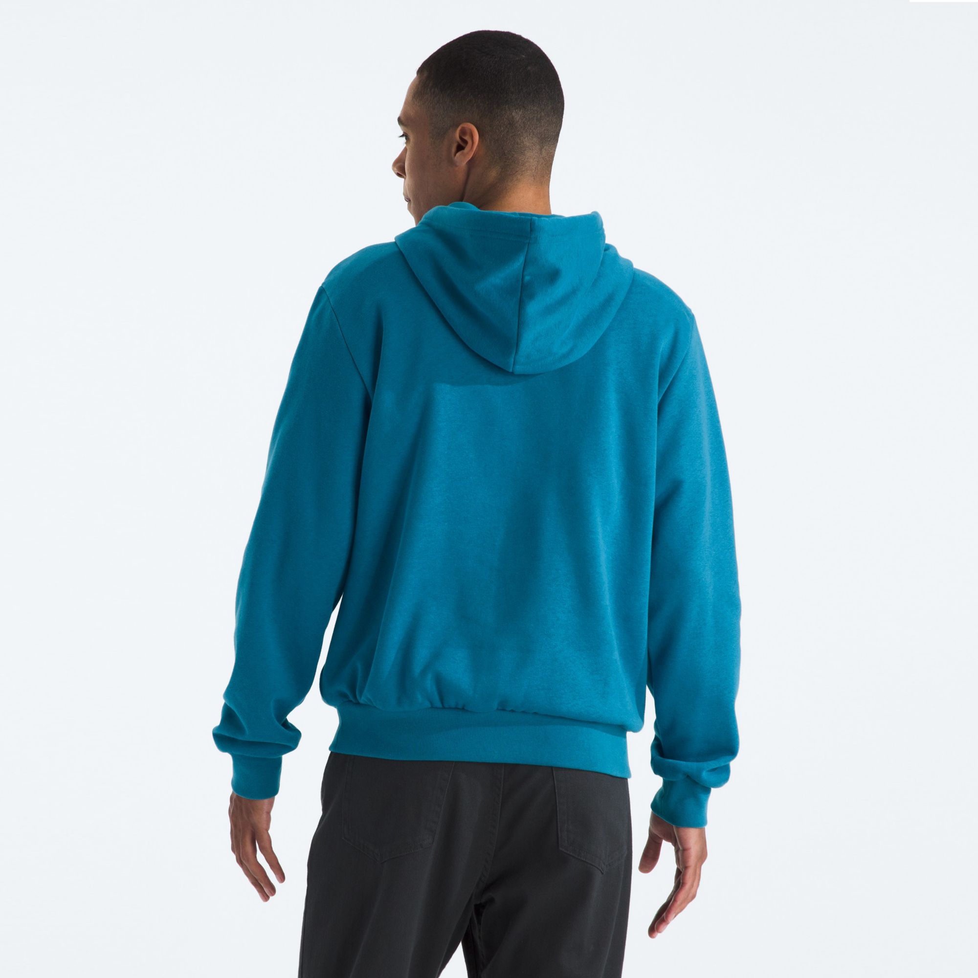 The North Face Men's Evolution Hoodie product image