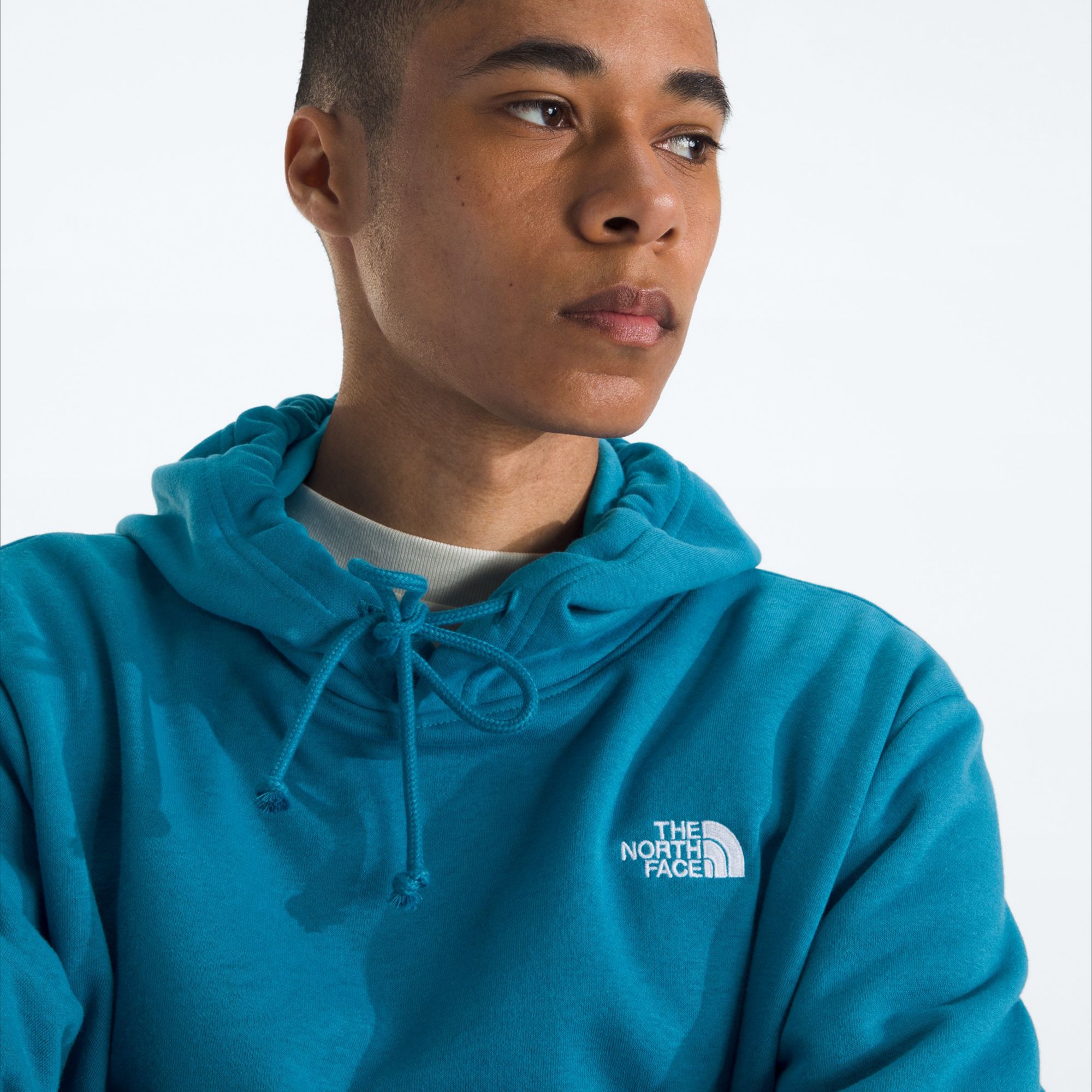The North Face Men's Evolution Hoodie product image