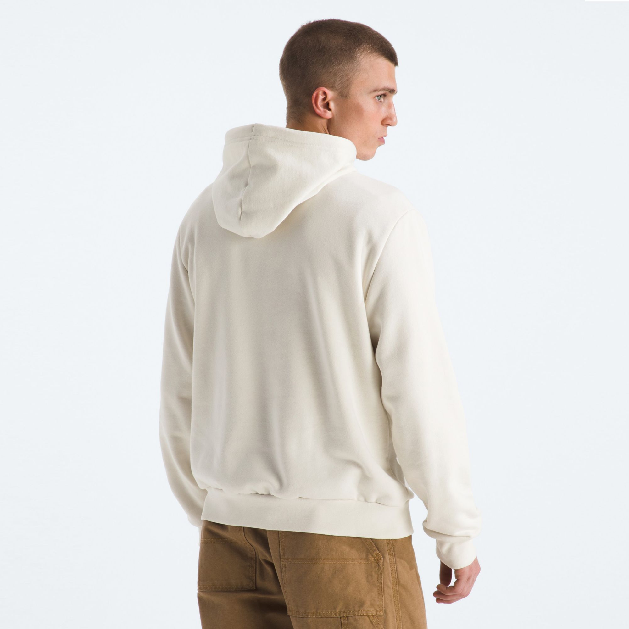 The North Face Men's Evolution Hoodie product image