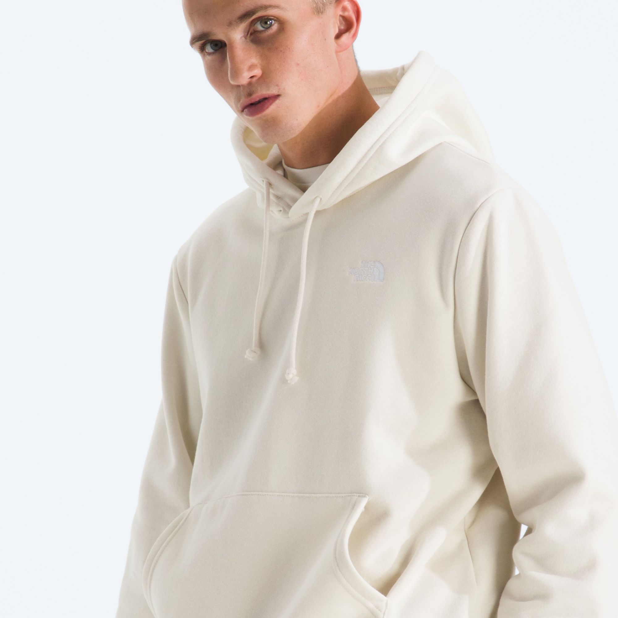 The North Face Men's Evolution Hoodie product image