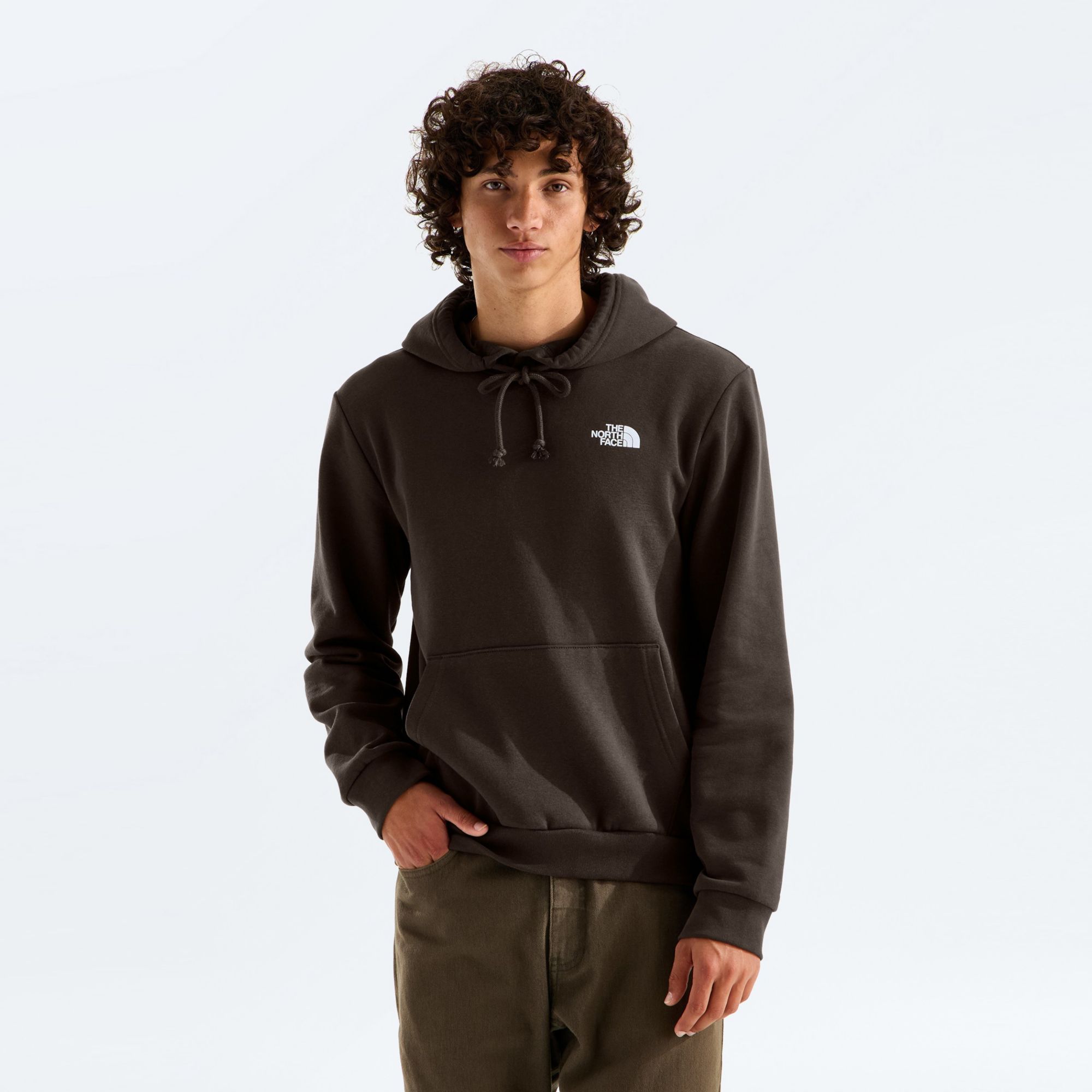 The North Face Men's Evolution Box NSE Regular Hoodie product image