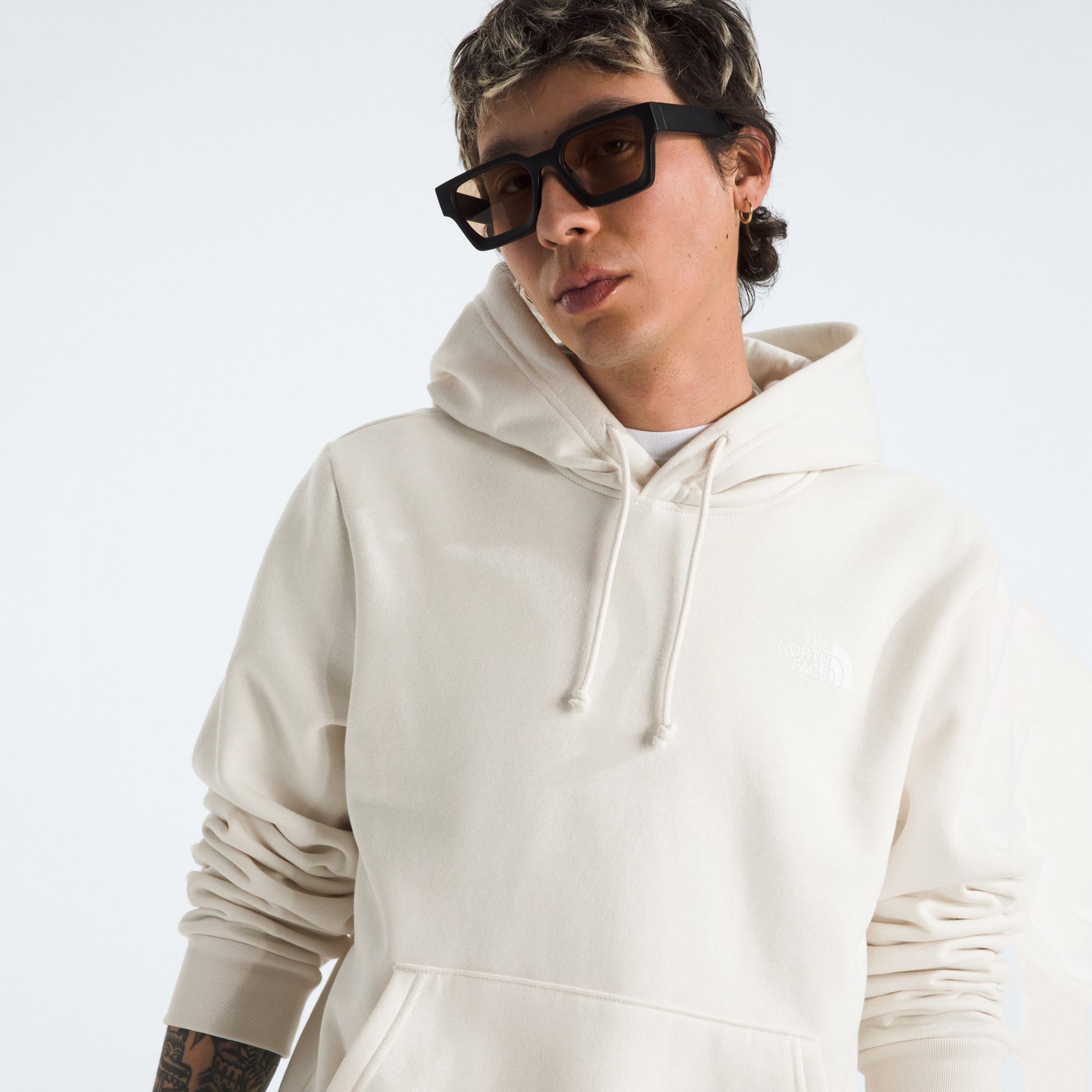 The North Face Men's Evolution Box NSE Regular Hoodie product image
