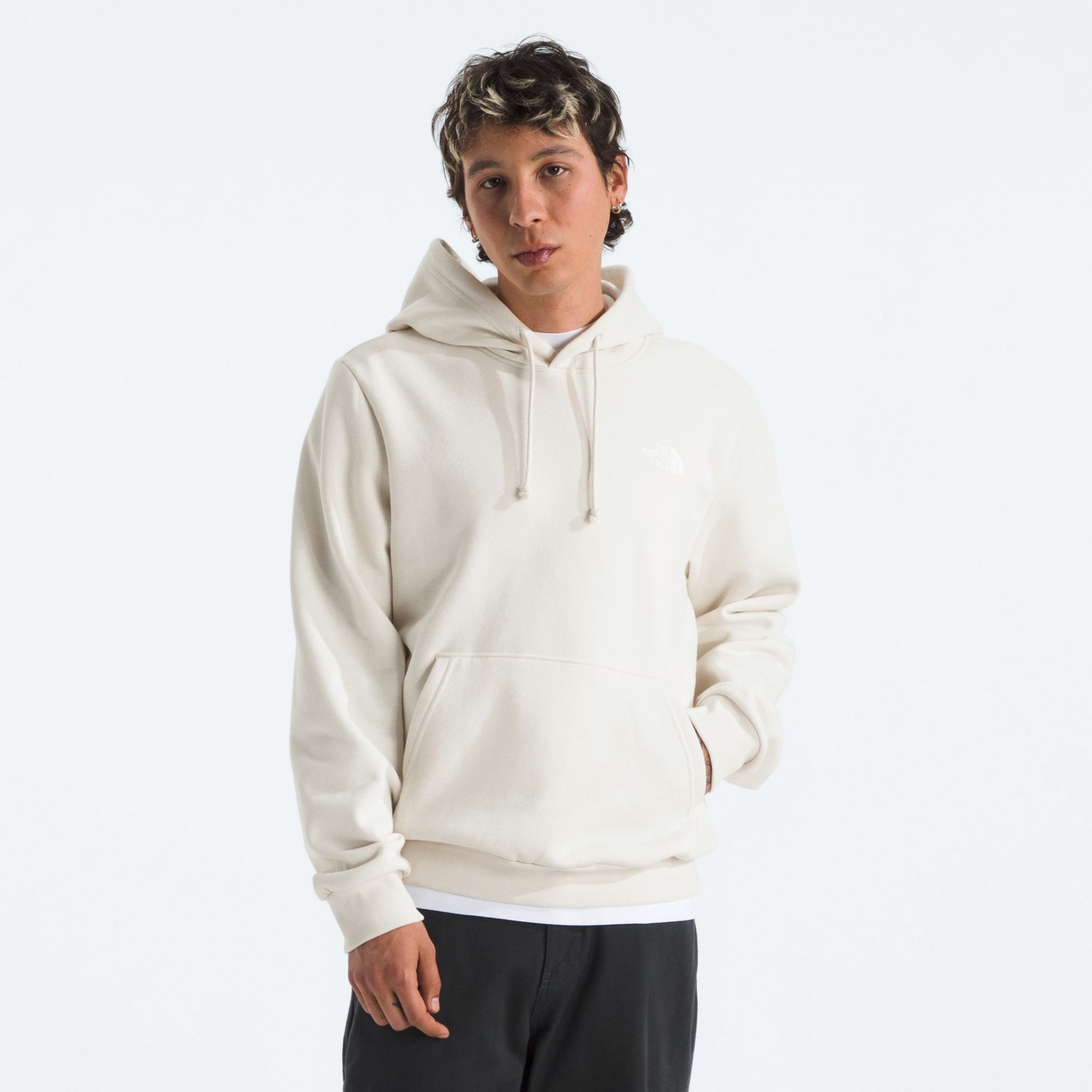 The North Face Men's Evolution Box NSE Regular Hoodie product image