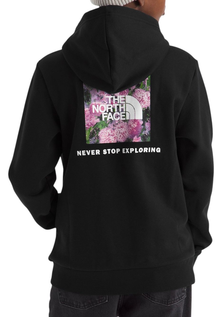 The North Face Kids' Evolution Box NSE Pullover Graphic Hoodie product image