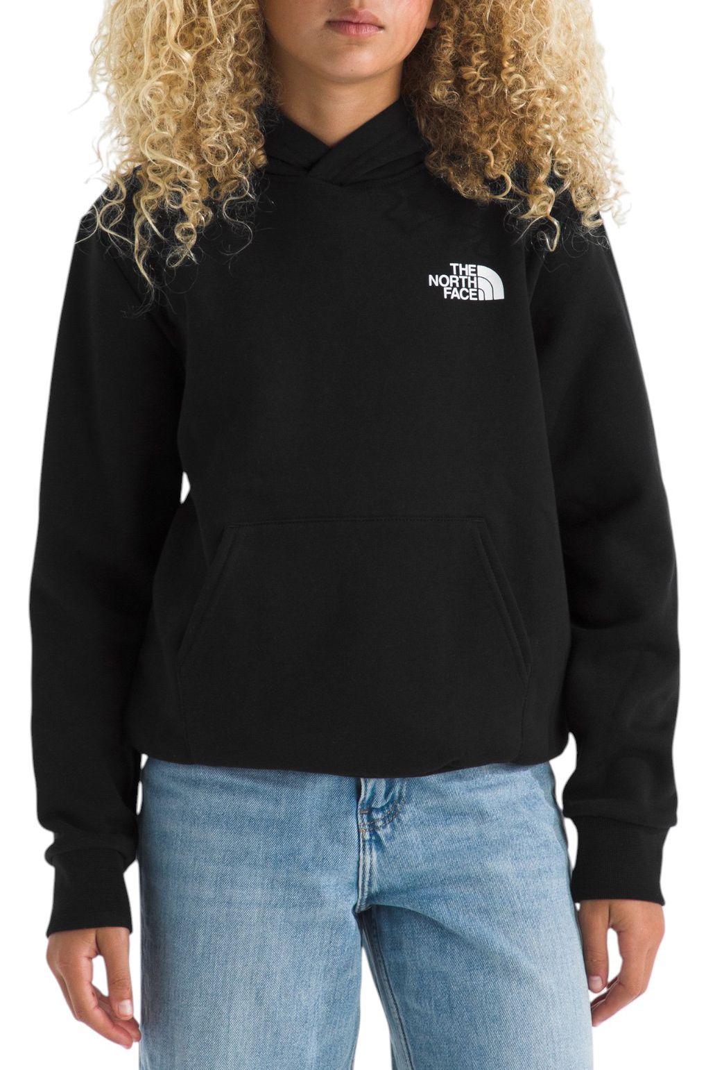 The North Face Kids' Evolution Box NSE Pullover Graphic Hoodie product image