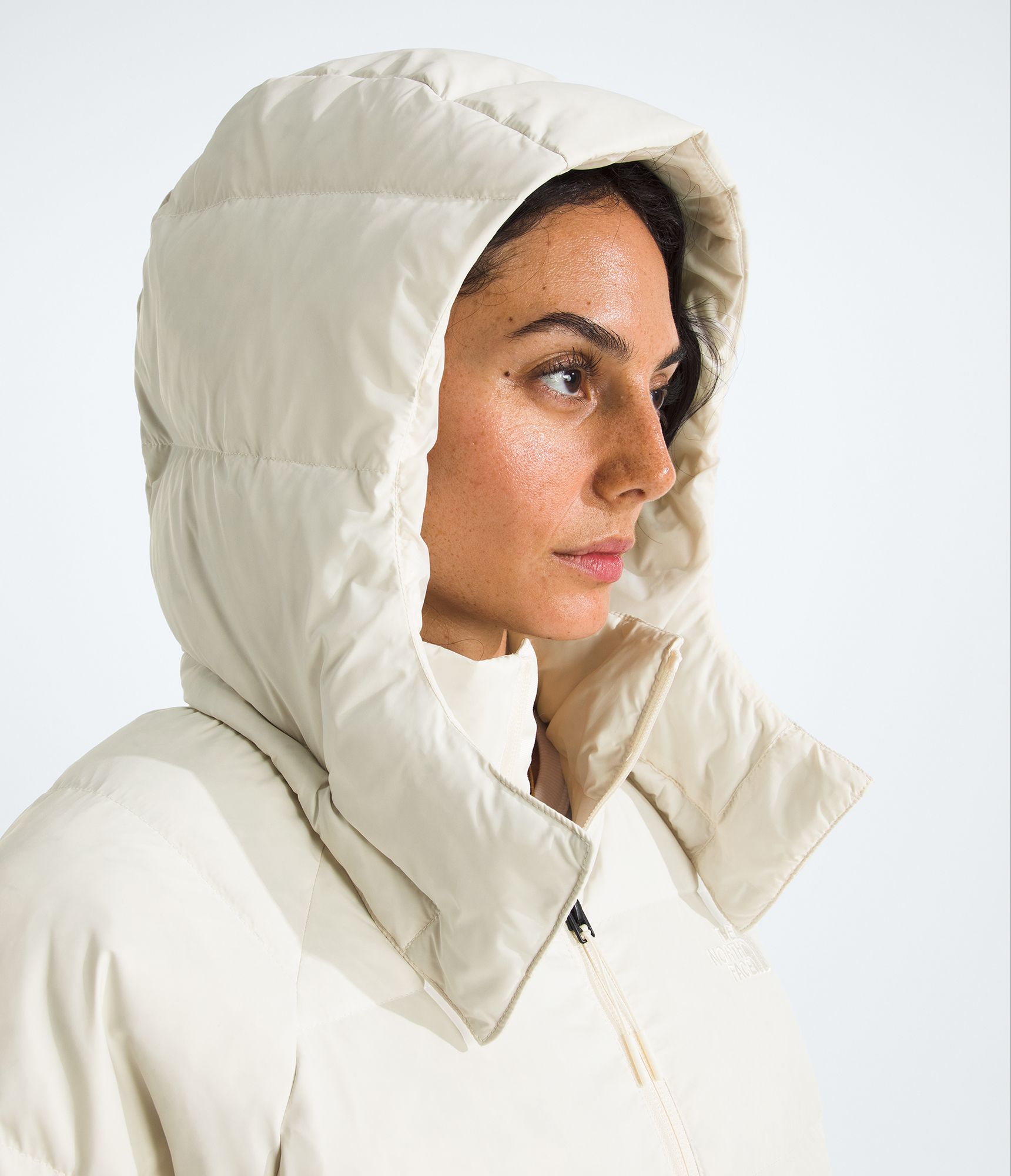The North Face Women's Hydrenalite City Down Hooded Parka product image