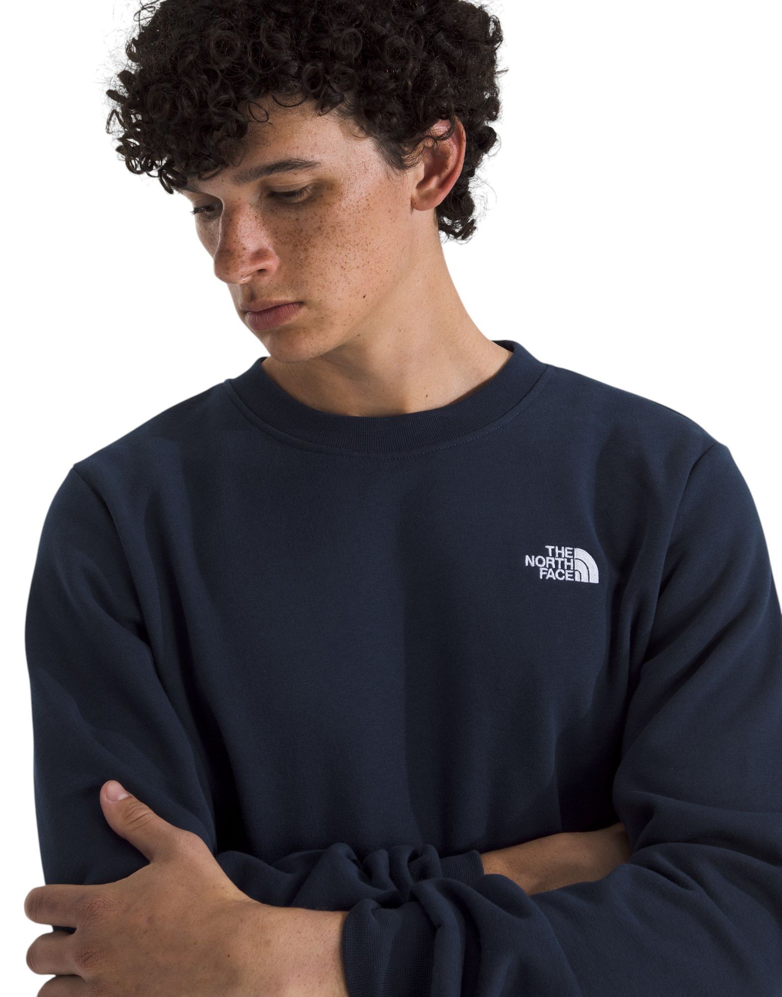 The North Face Men's Evolution Simple Dome Crew Sweatshirt product image