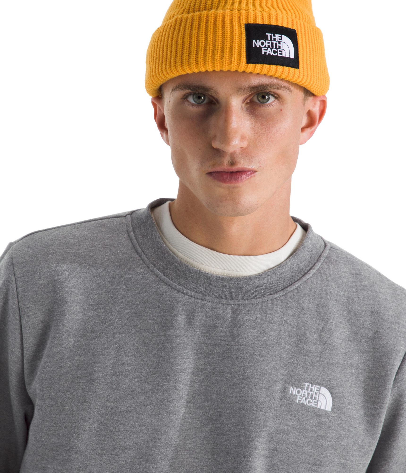 The North Face Men's Evolution Simple Dome Crew Sweatshirt product image