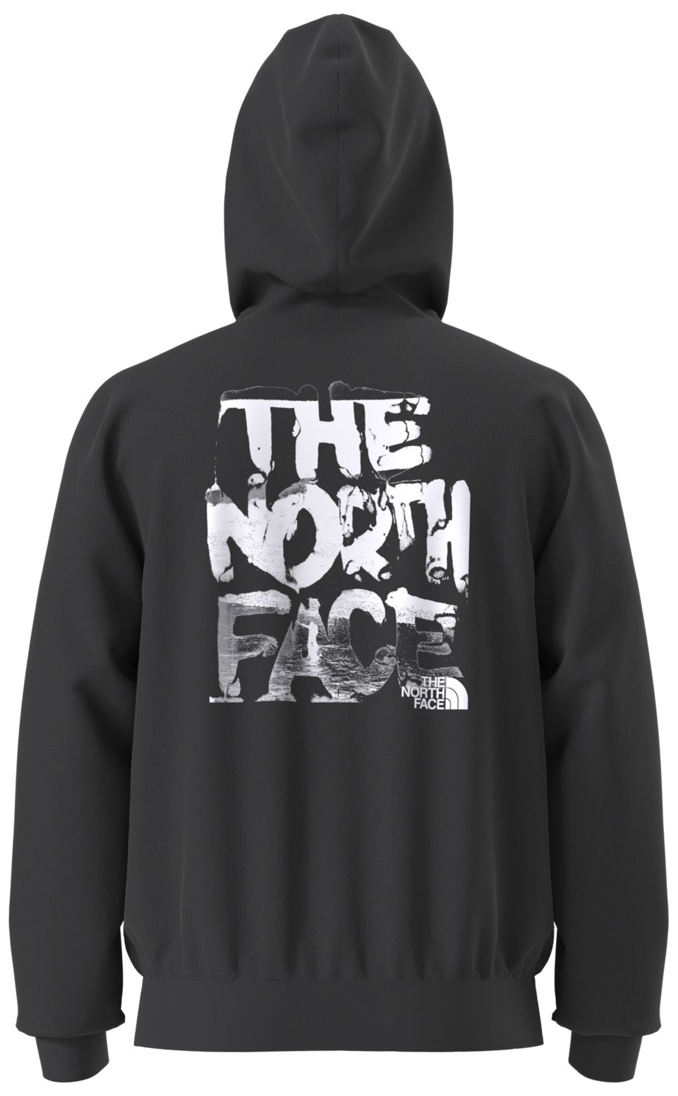 The North Face Men's Evolution Nature Exposur Hoodie product image