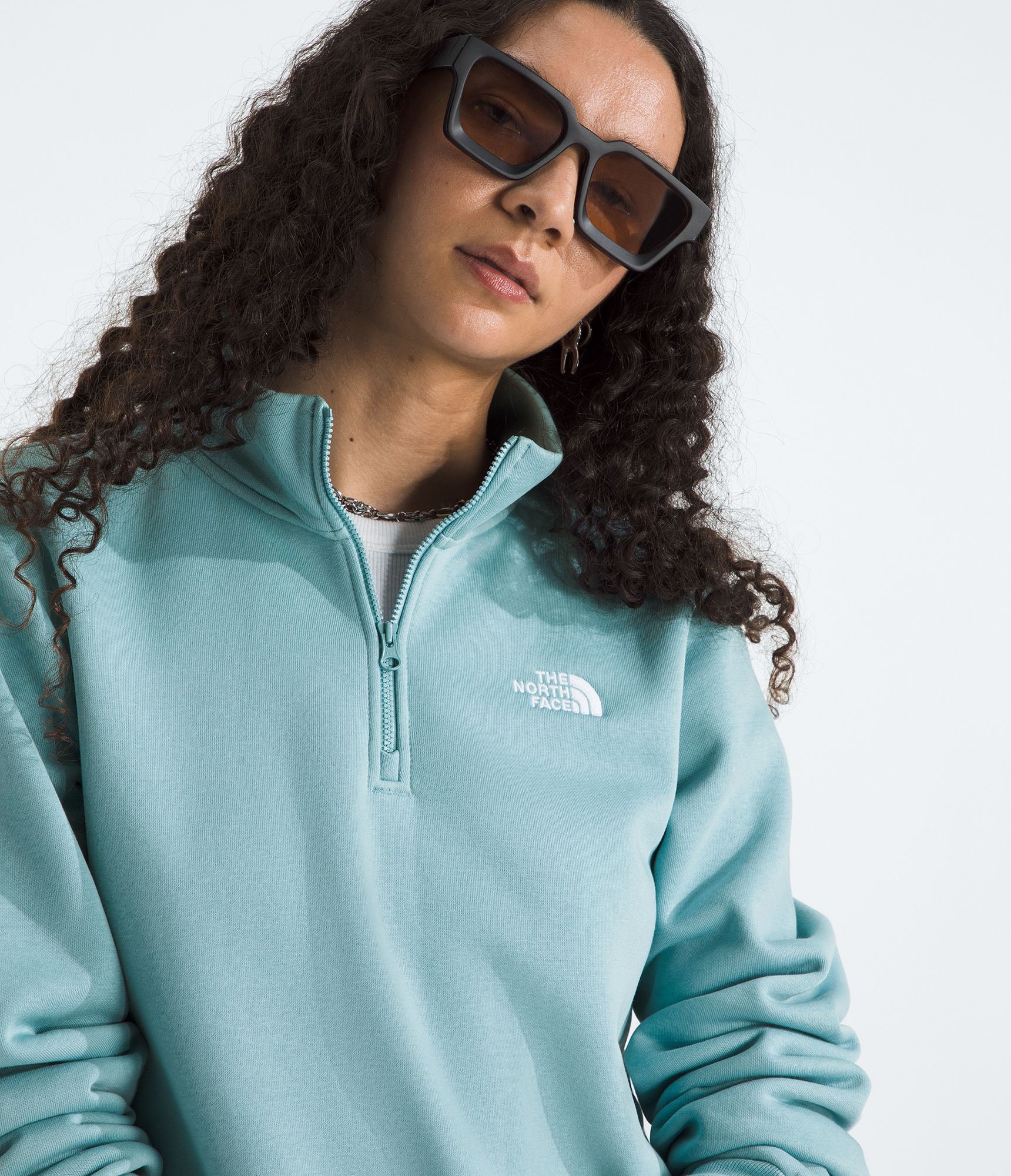 The North Face Women's Evolution 1/4 Zip Pullover product image