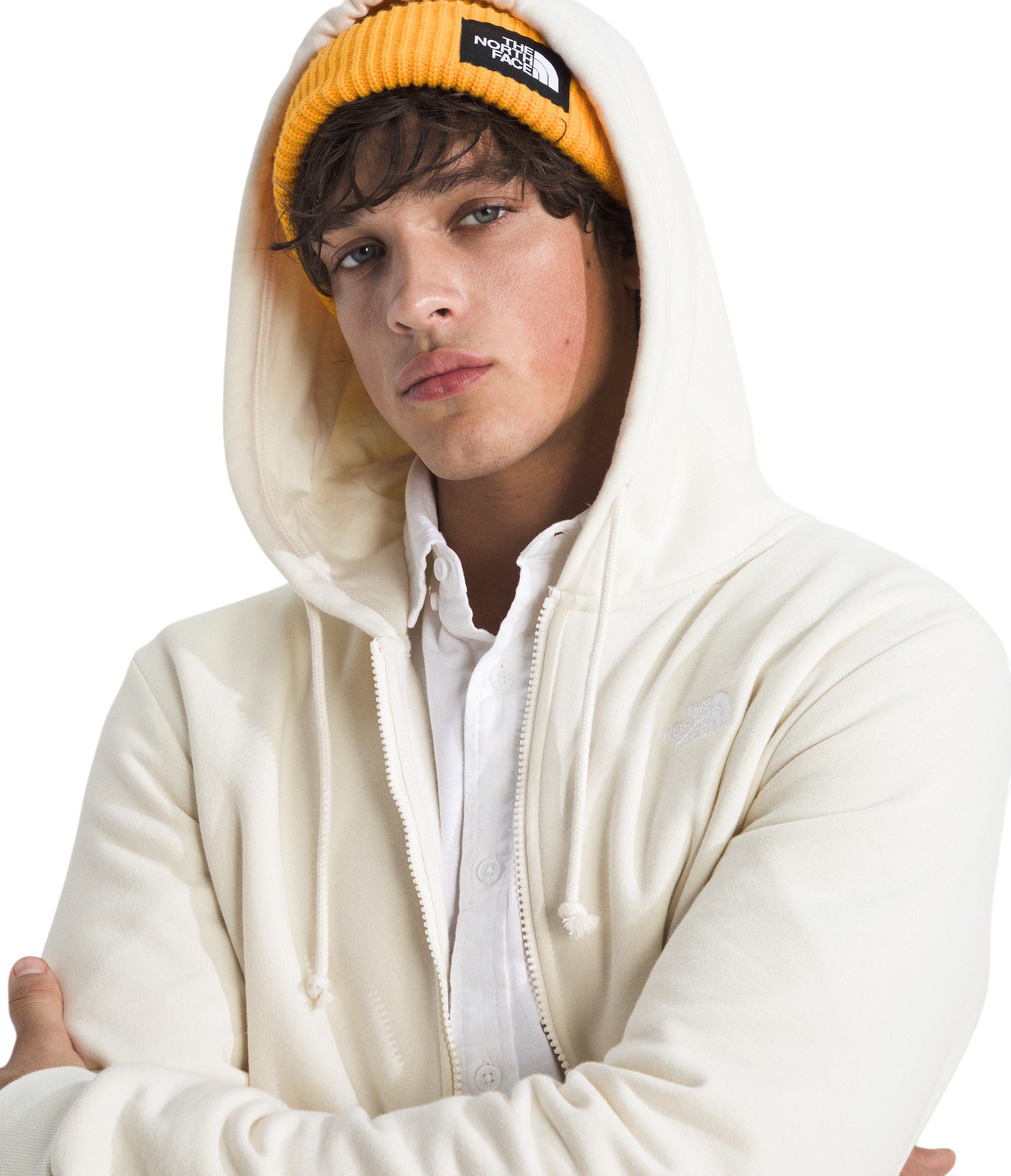 The North Face Men's Evolution Full-Zip Hoodie product image