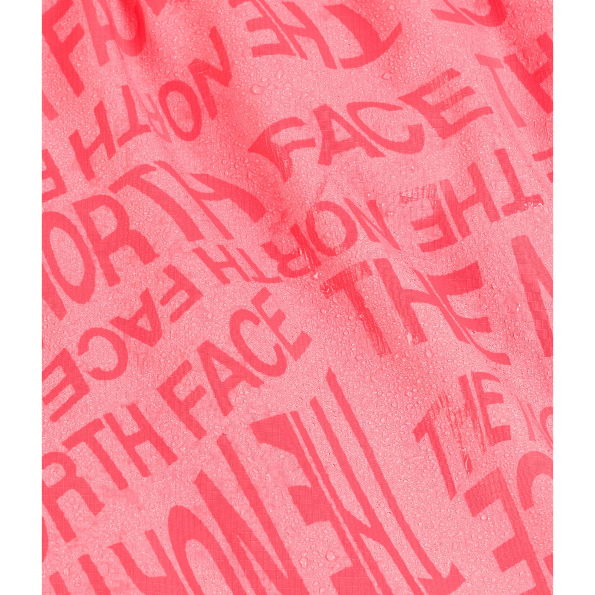 The North Face Toddlers' Class V 2" Shorts product image