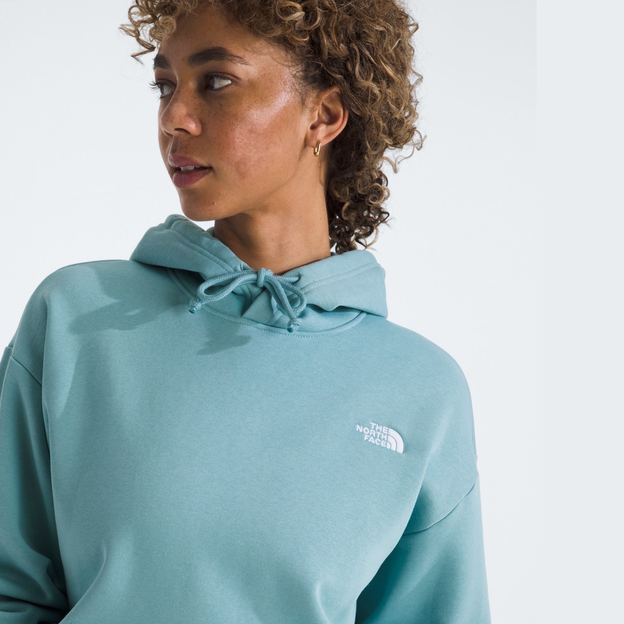 The North Face Women's Evolution Oversized Hoodie product image