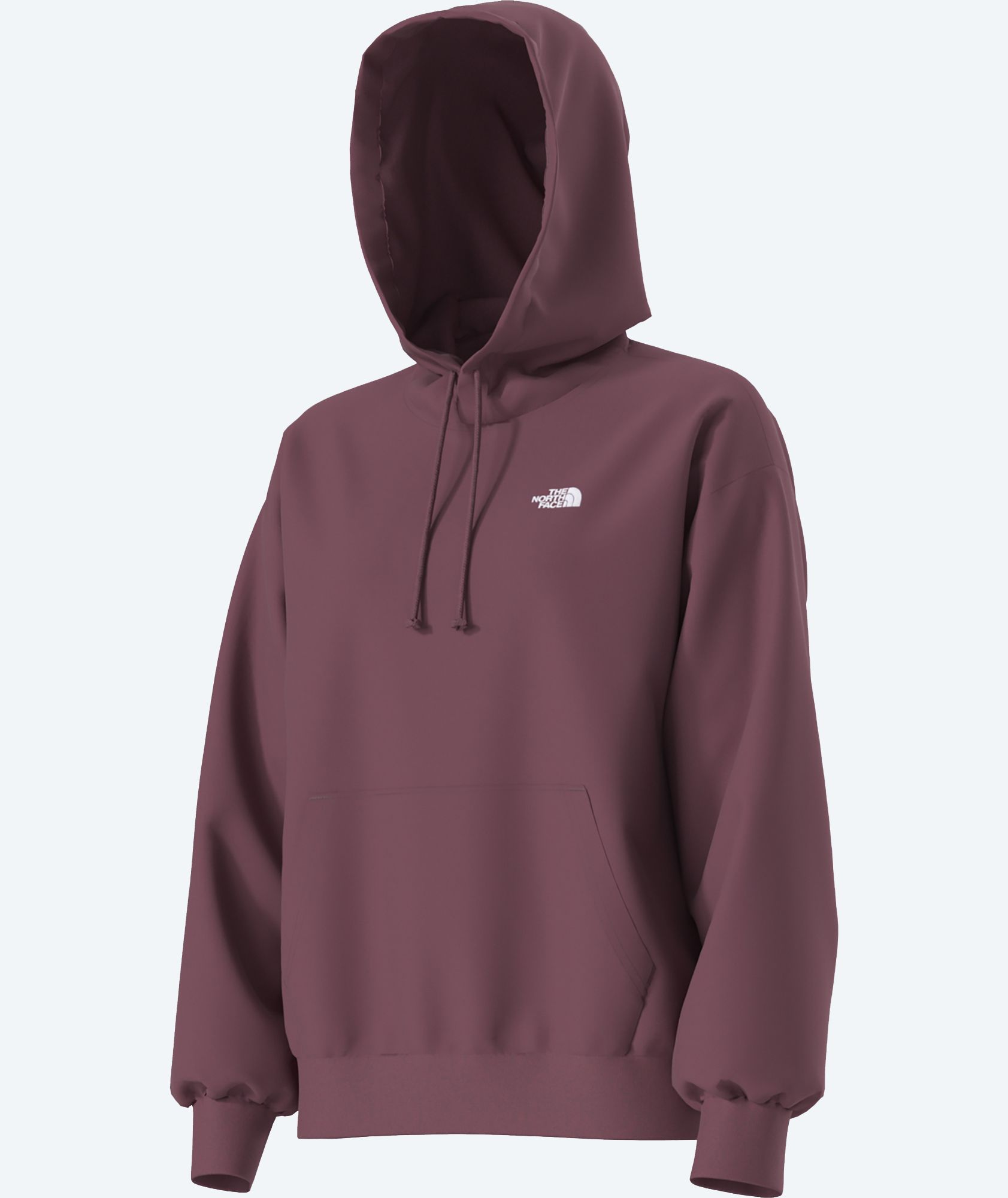 The North Face Women's Evolution Oversized Hoodie product image