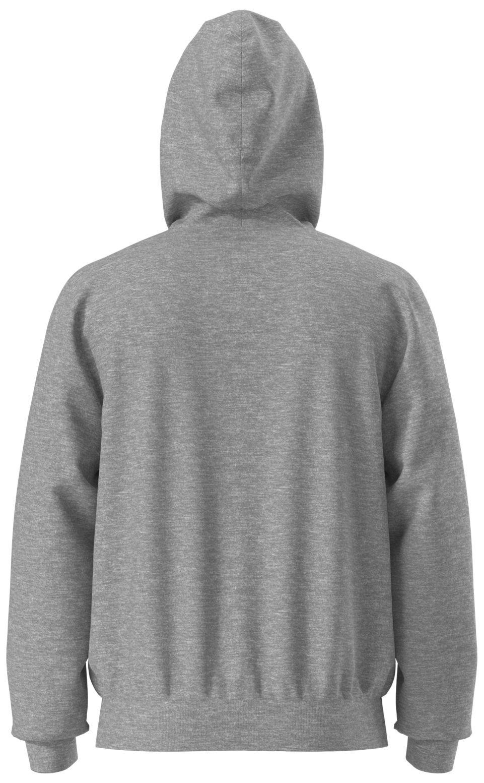 The North Face Men's Evolution Bear Graphic Hoodie product image