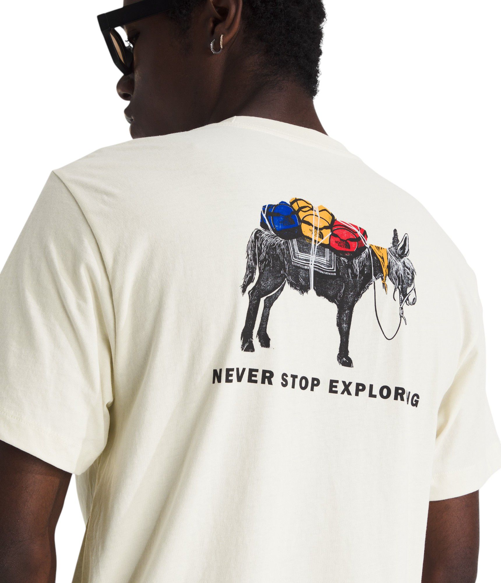 The North Face Men's Evolution Pack Graphic Shirt Sleeve T-Shirt product image