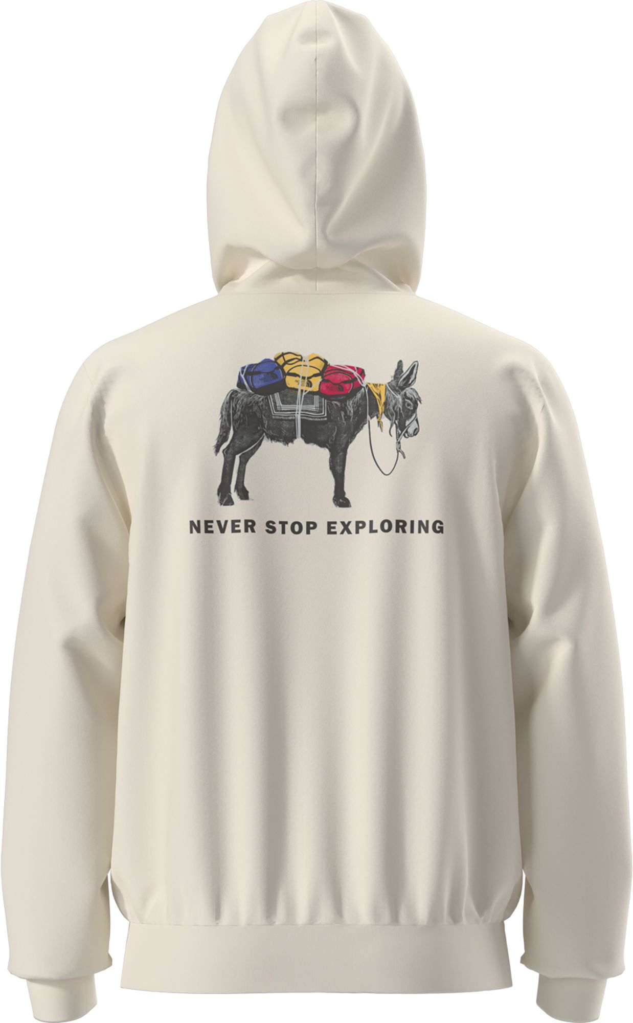 The North Face Men's Evolution Pack Graphic Hoodie product image