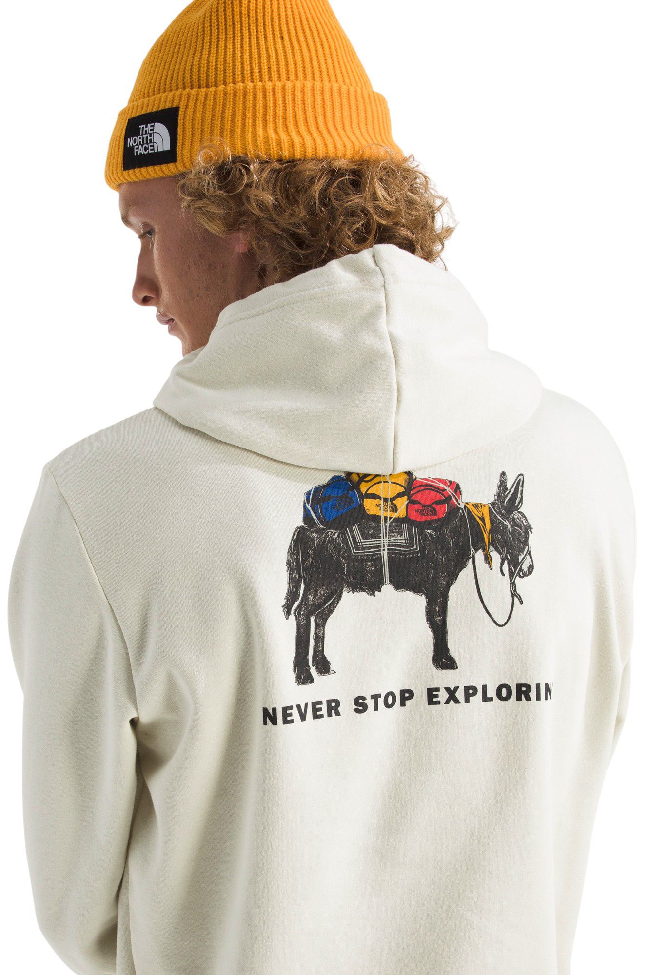 The North Face Men's Evolution Pack Graphic Hoodie product image