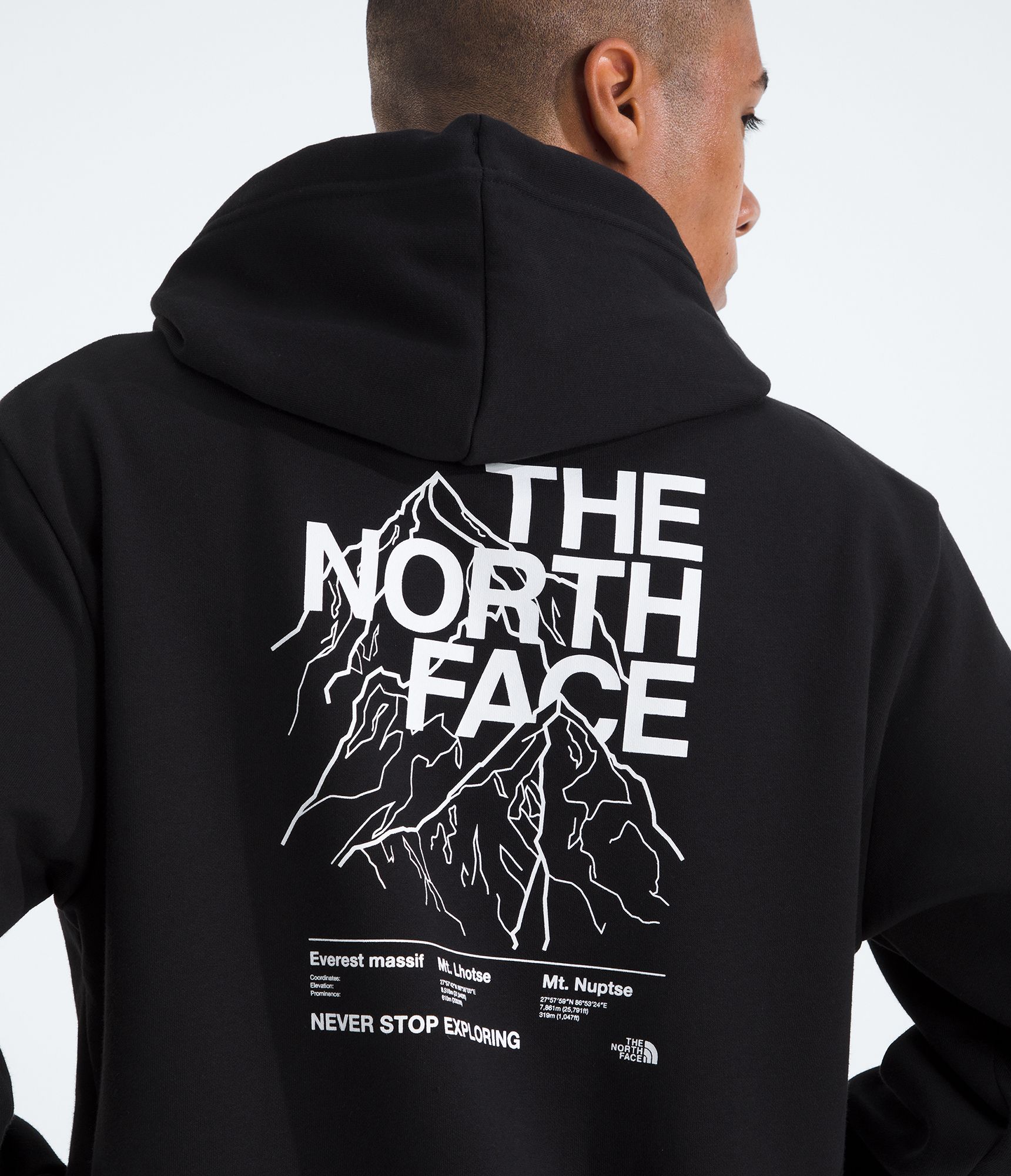 The North Face Men's Evolution Half Dome Hoodie product image