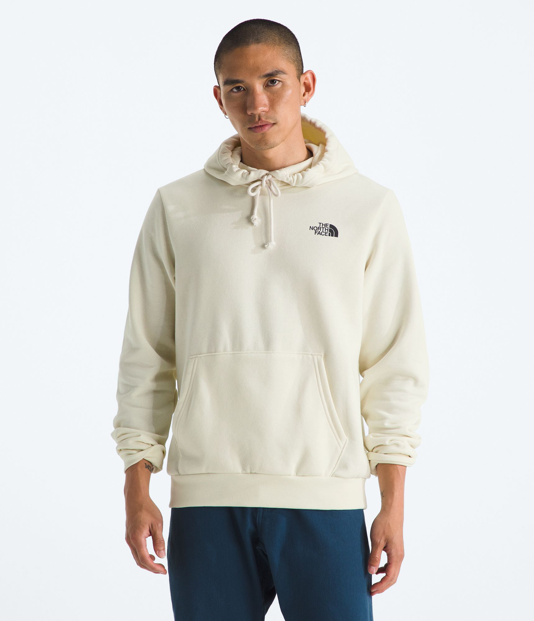 The North Face Men's Evolution Half Dome Hoodie product image