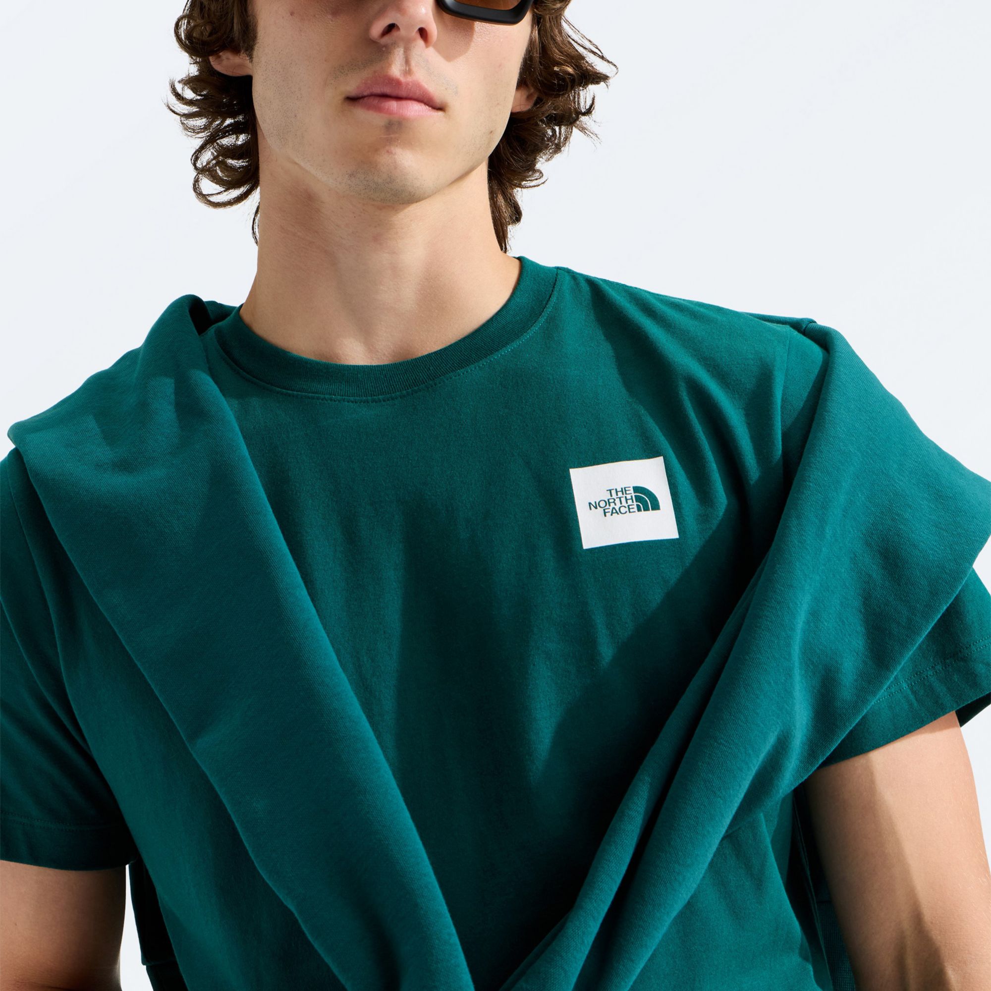 The North Face Men's Evolution Half Dome Box Short Sleeve T-Shirt product image