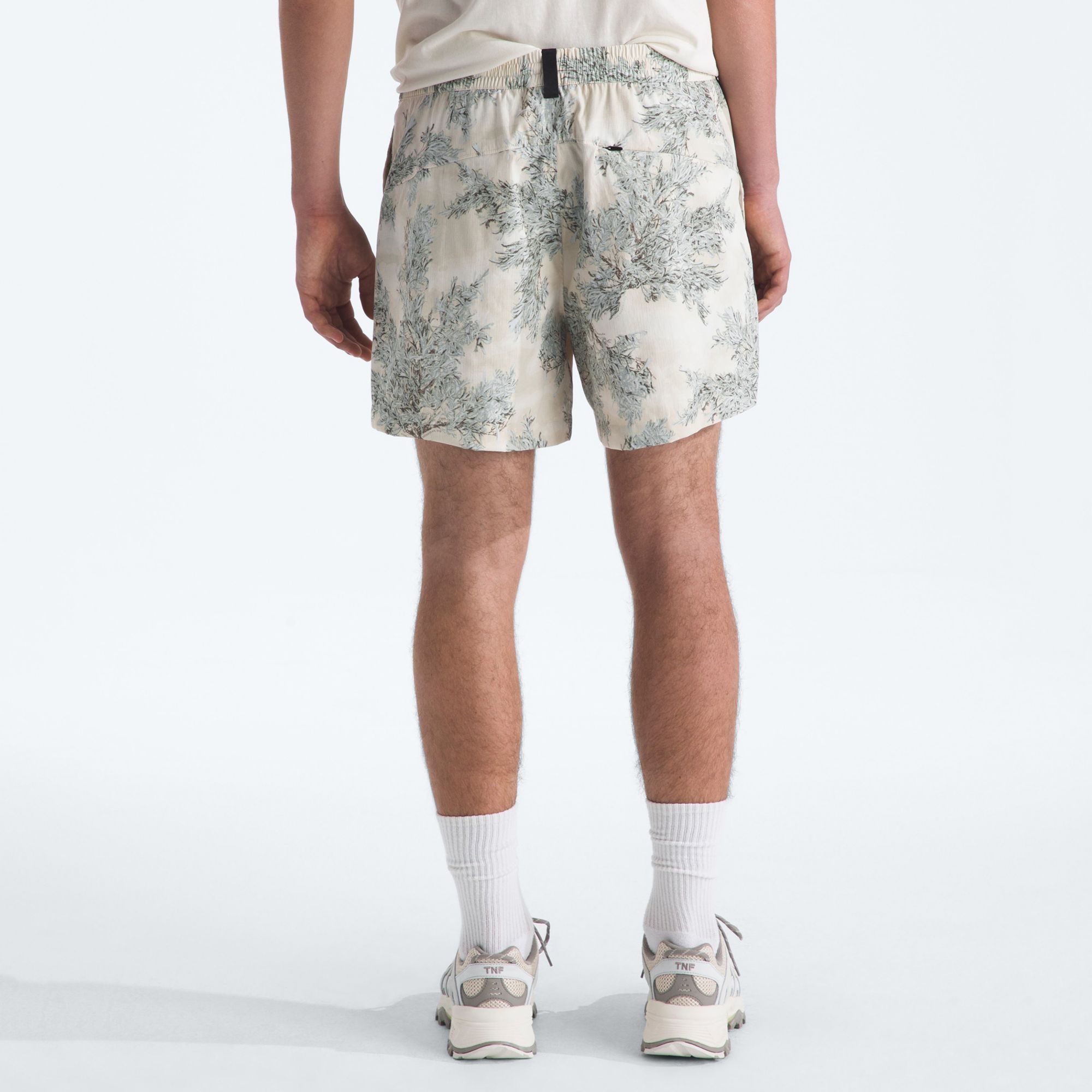 The North Face Men's Class V 5" Shorts product image