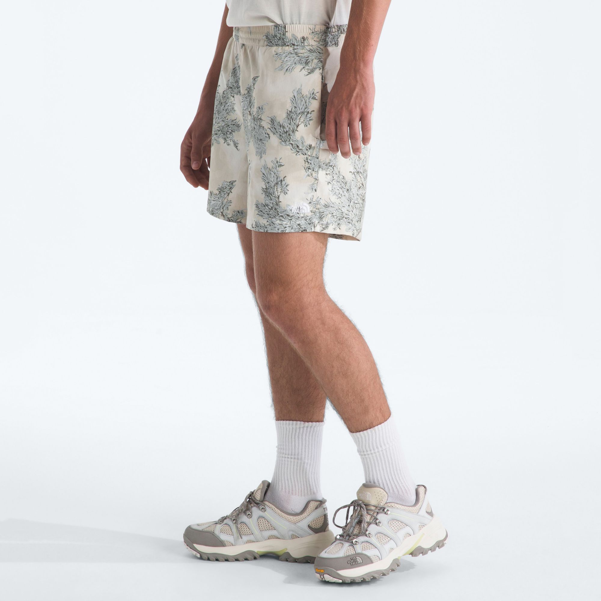 The North Face Men's Class V 5" Shorts product image