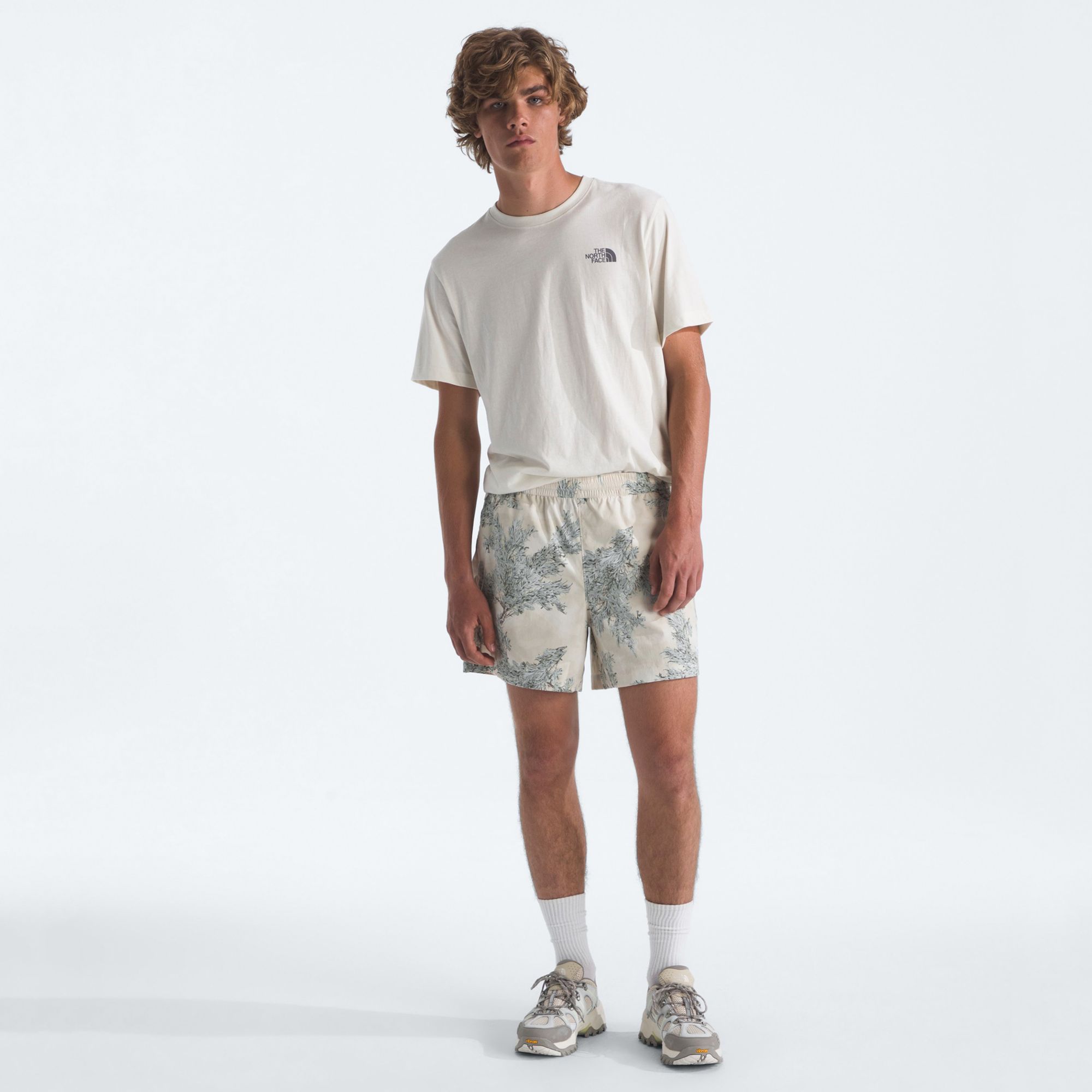 The North Face Men's Class V 5" Shorts product image