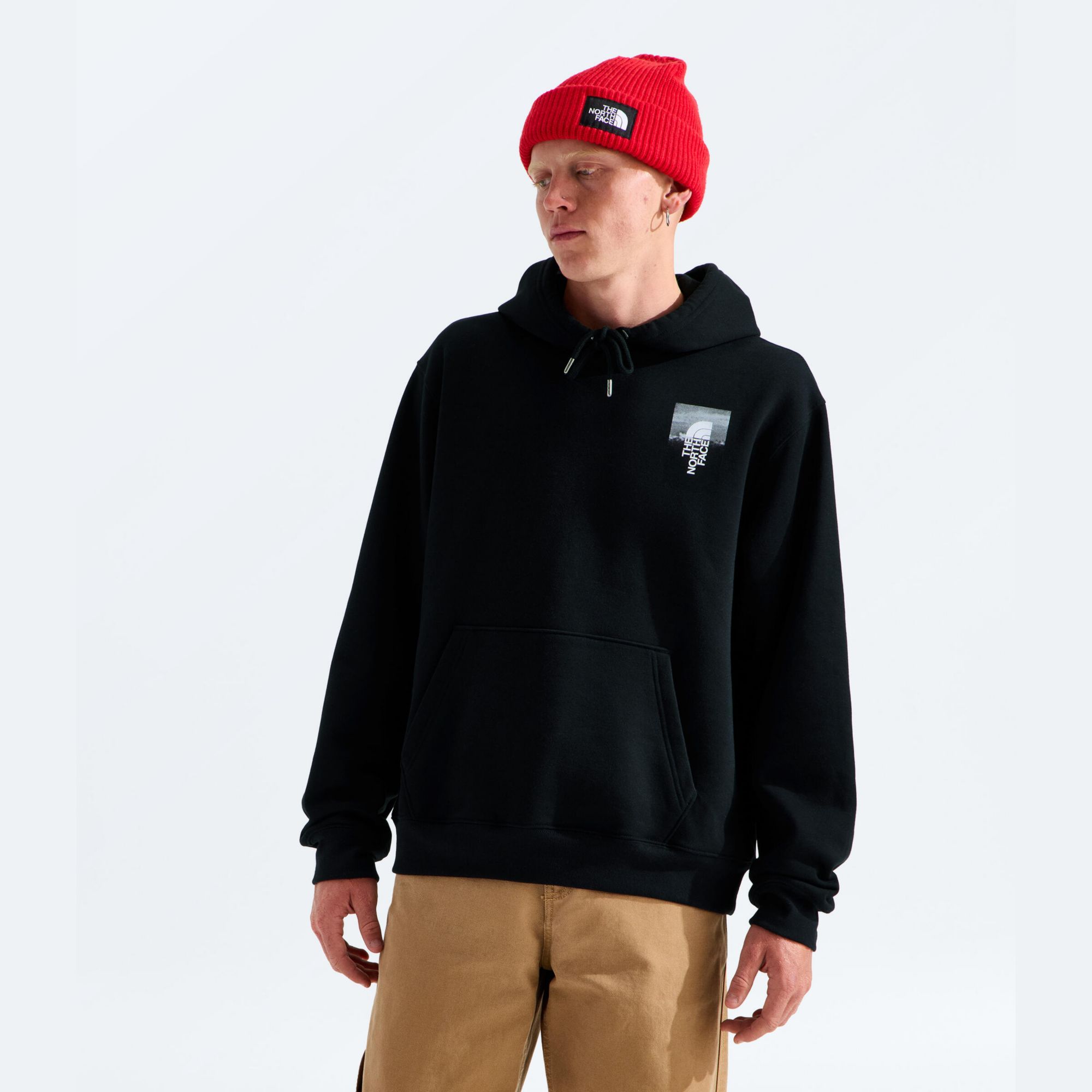 The North Face Men's Apex '75 Collage Hoodie product image