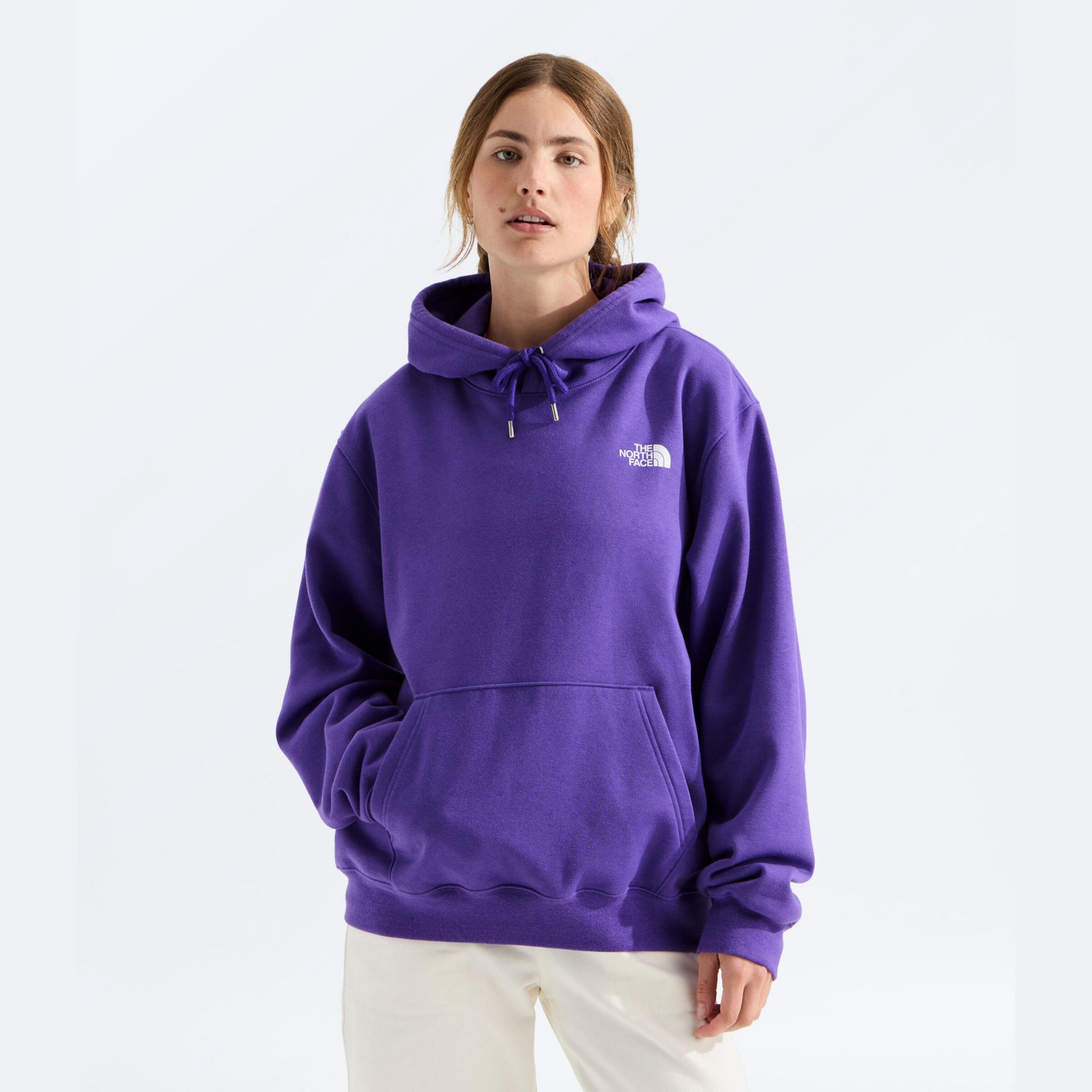 The North Face Men's Tested & Proven Hoodie product image