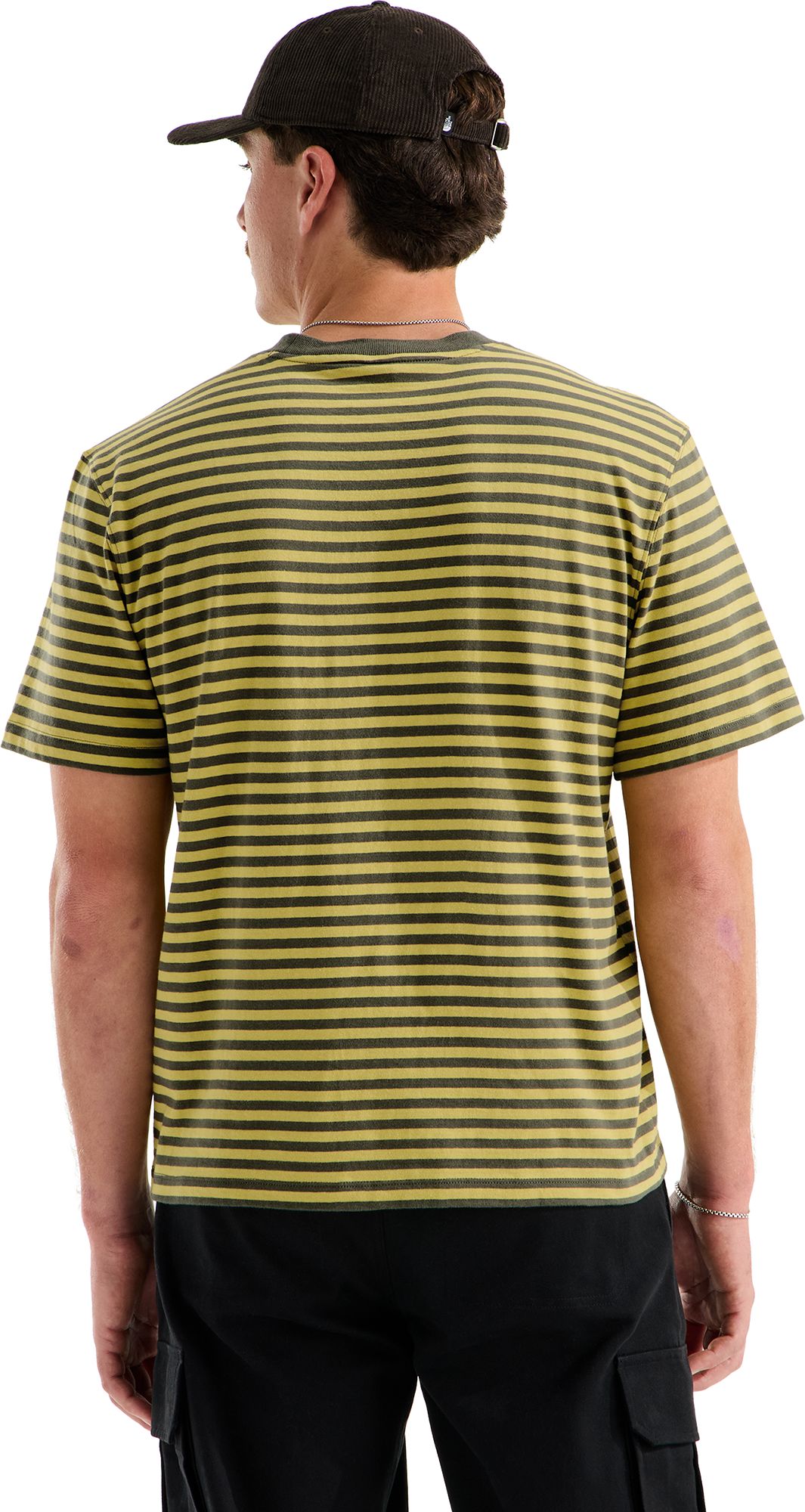 The North Face Men's Vista Stripe Short Sleeve T-Shirt product image