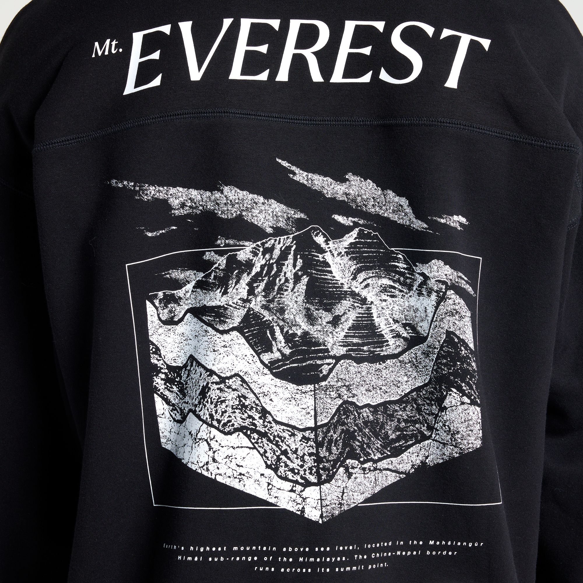 The North Face Men's Places We Love Everest Hoodie product image