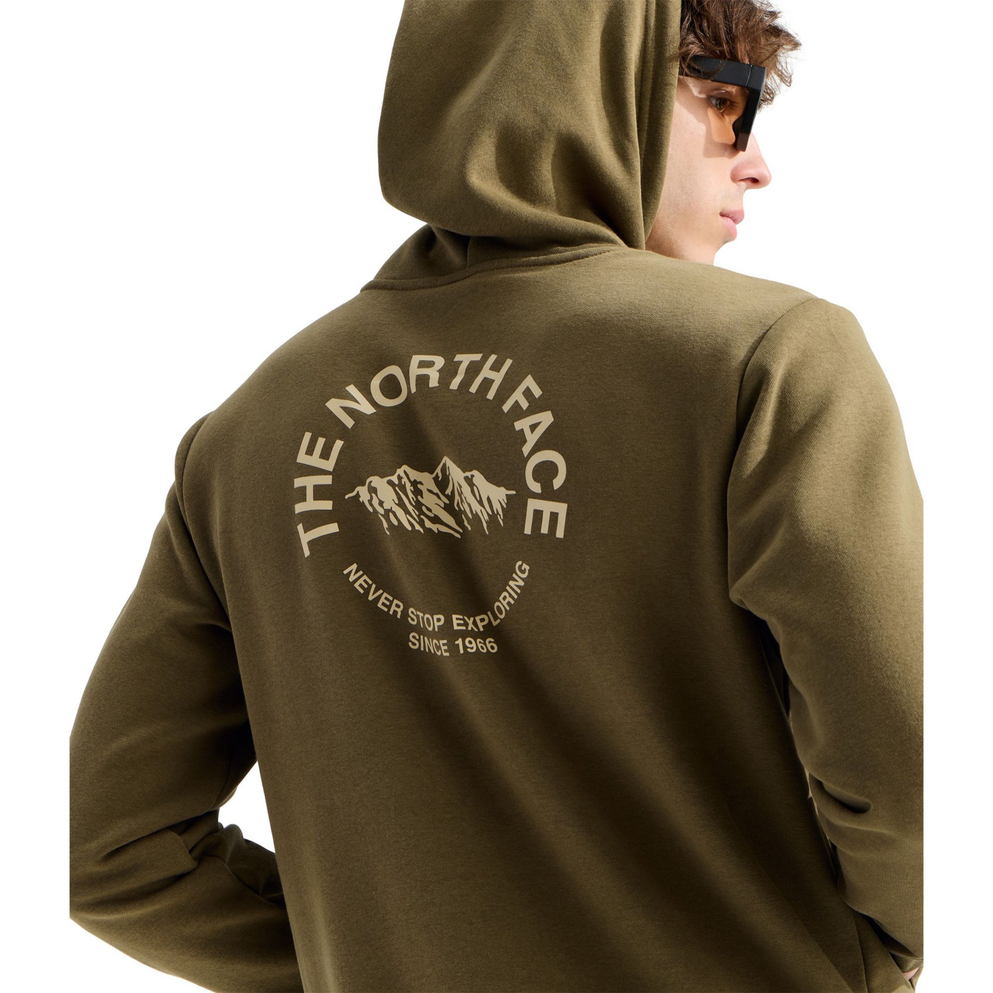 The North Face Men's Evolution NSE Hoodie product image