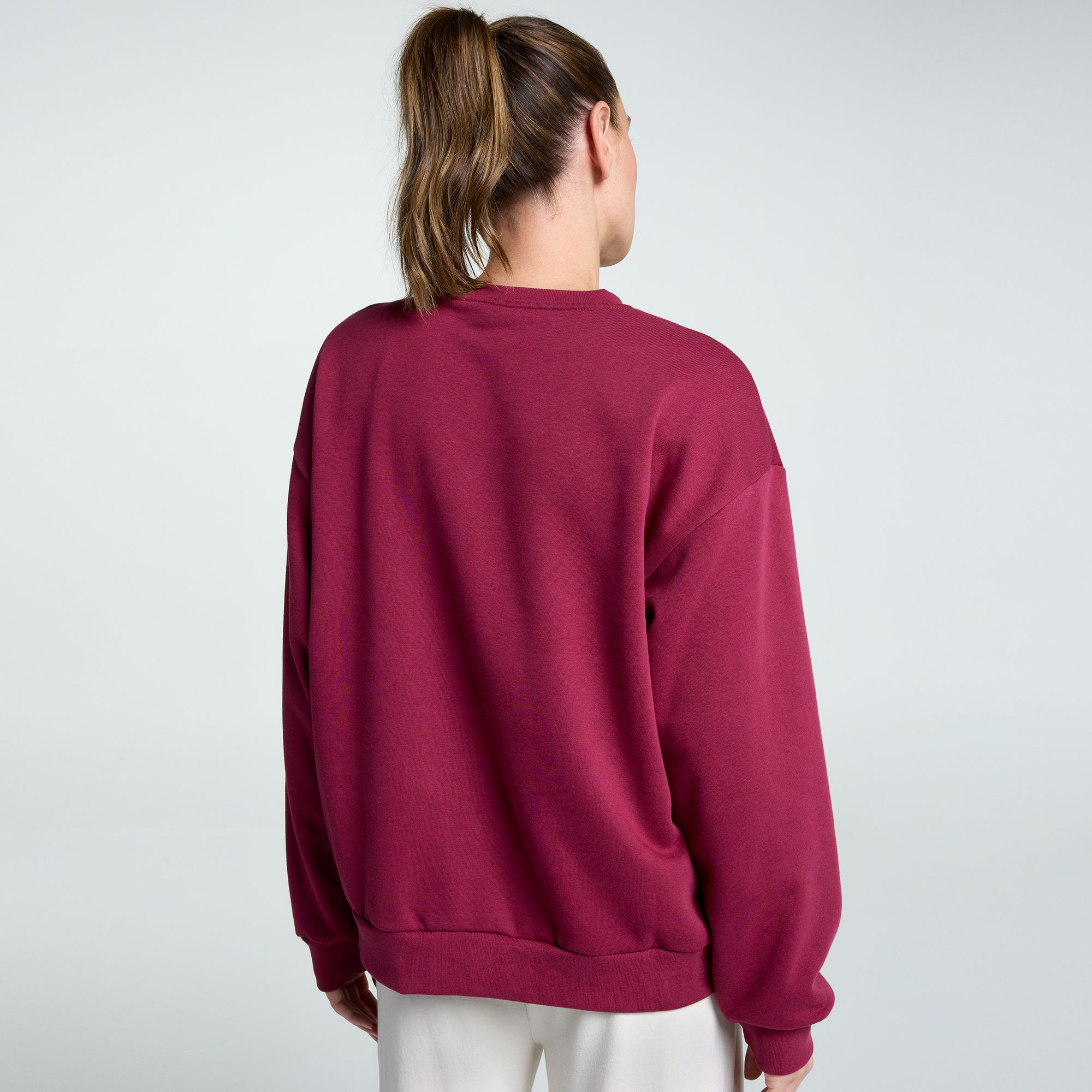 The North Face Women's Evolution Mountain Oasis Crew Sweatshirt product image