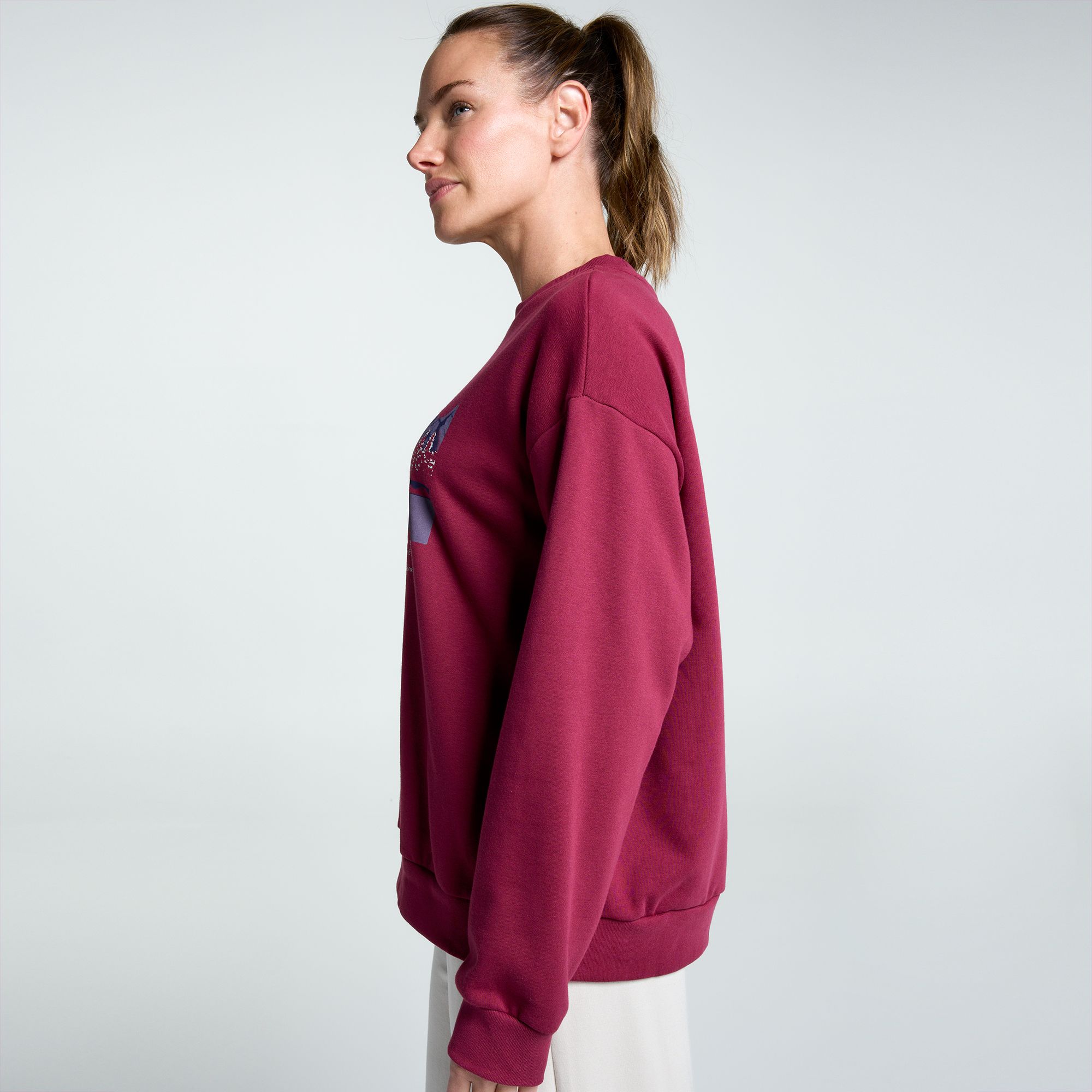 The North Face Women's Evolution Mountain Oasis Crew Sweatshirt product image