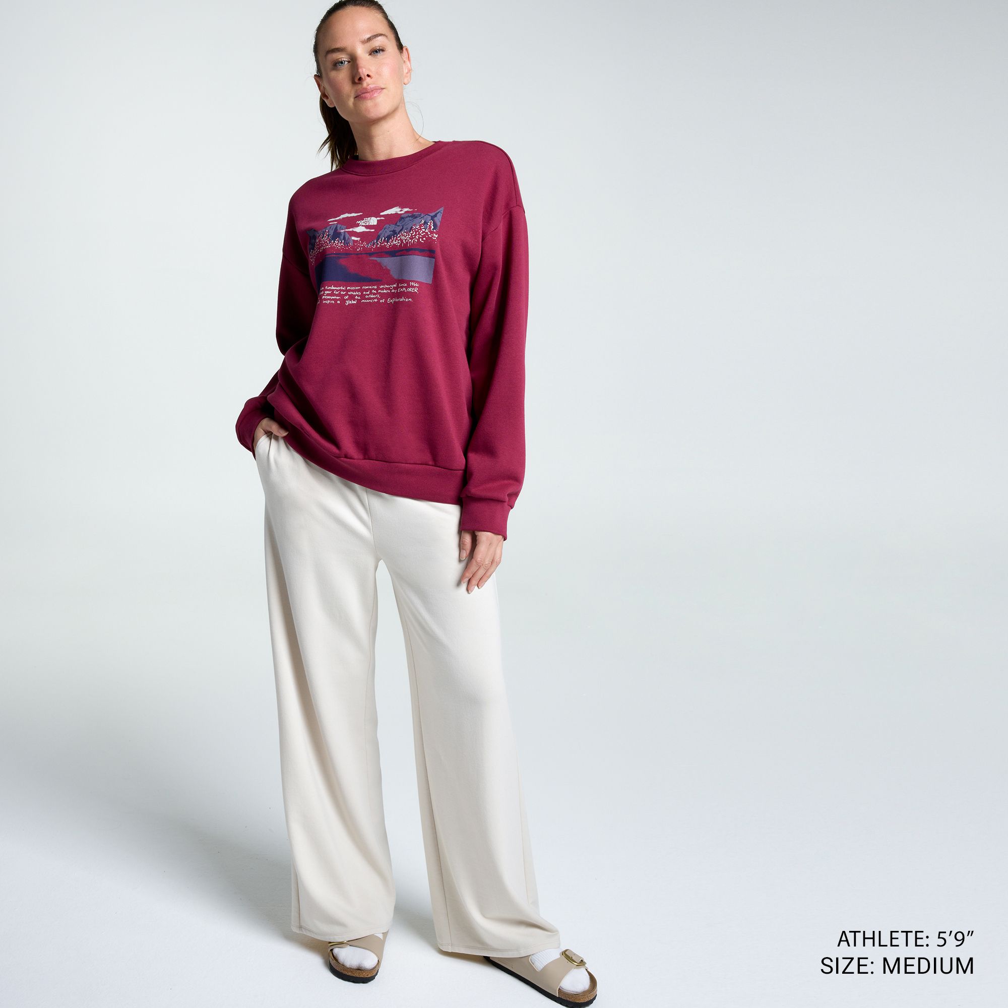 The North Face Women's Evolution Mountain Oasis Crew Sweatshirt product image