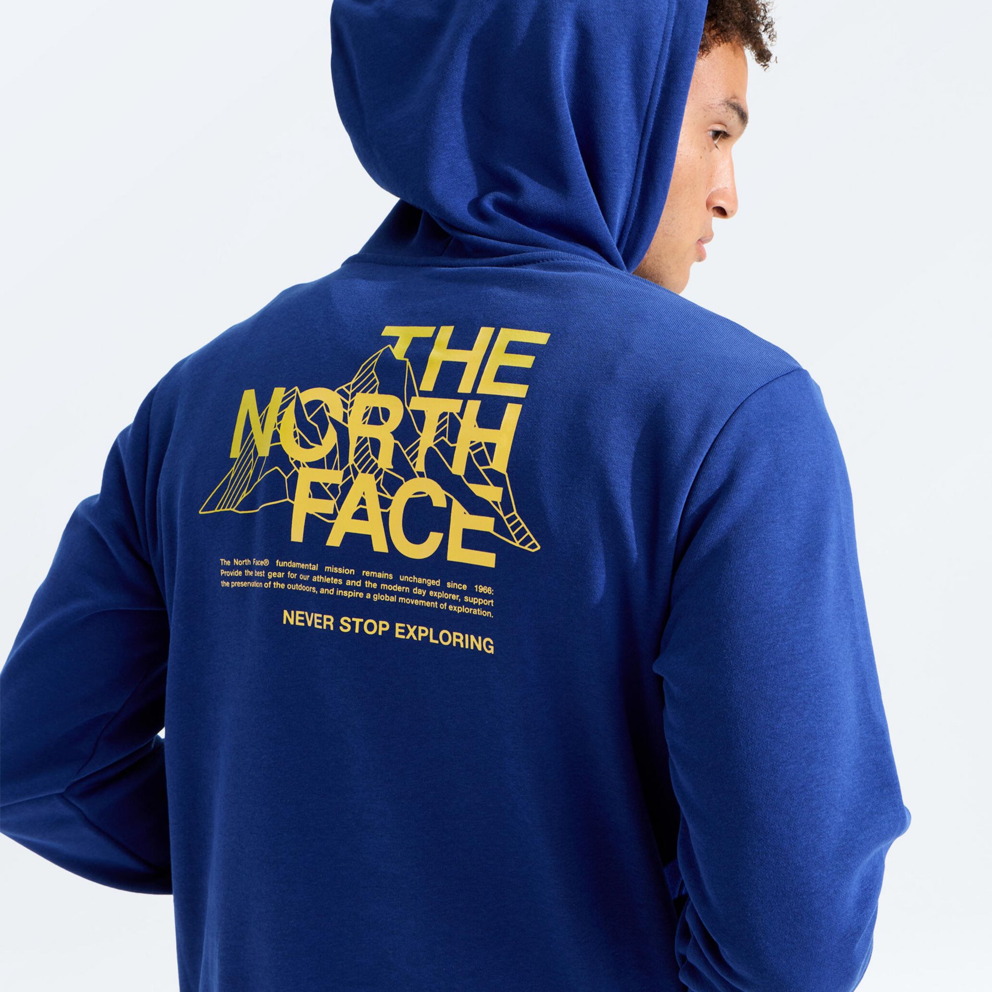The North Face Men's Evolution Mountain Sketch Hoodie product image