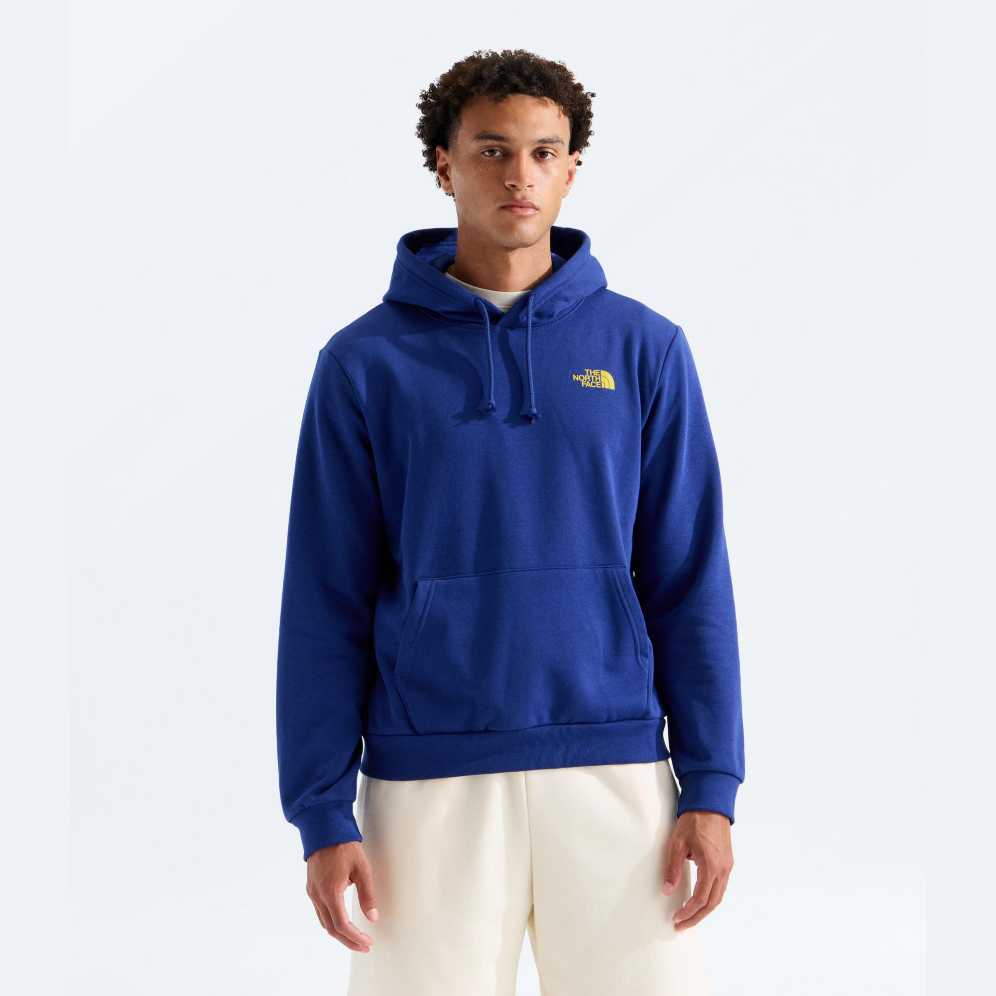 The North Face Men's Evolution Mountain Sketch Hoodie product image