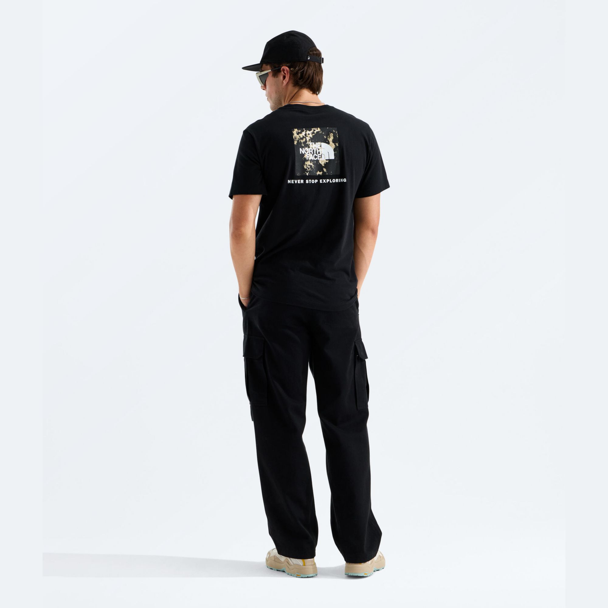 The North Face Men's Evolution Light Print Box Short-Sleeve T-Shirt product image