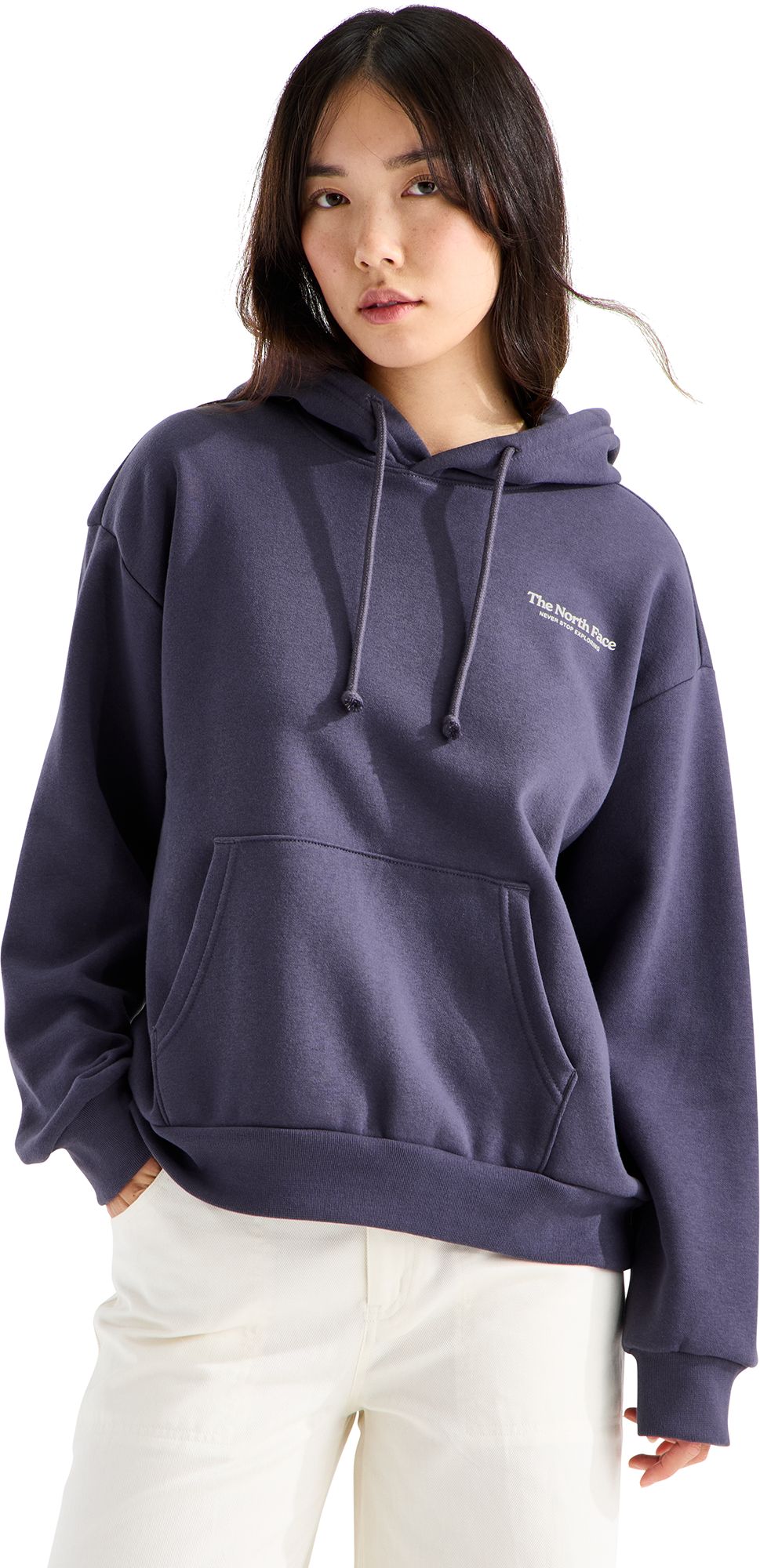 The North Face Women's Evolution Monte Oversized Hoodie product image