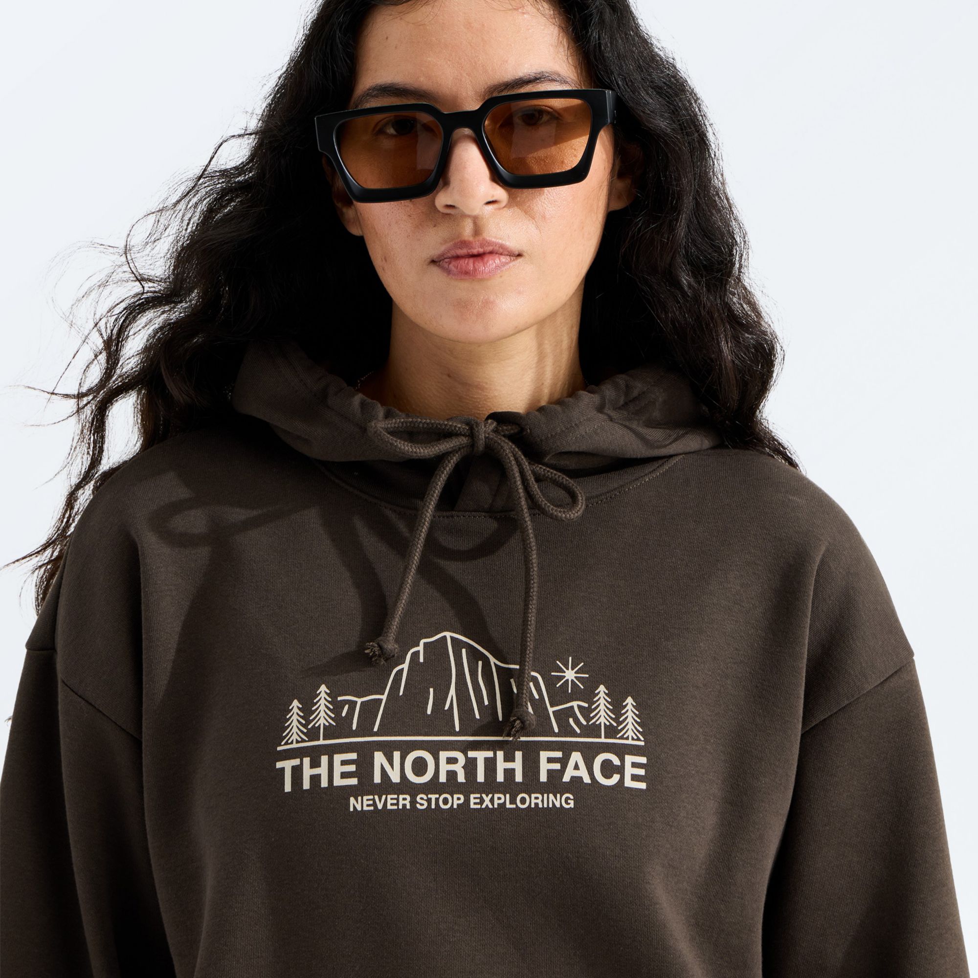 The North Face Women's Evolution Plateau Oversized Hoodie product image