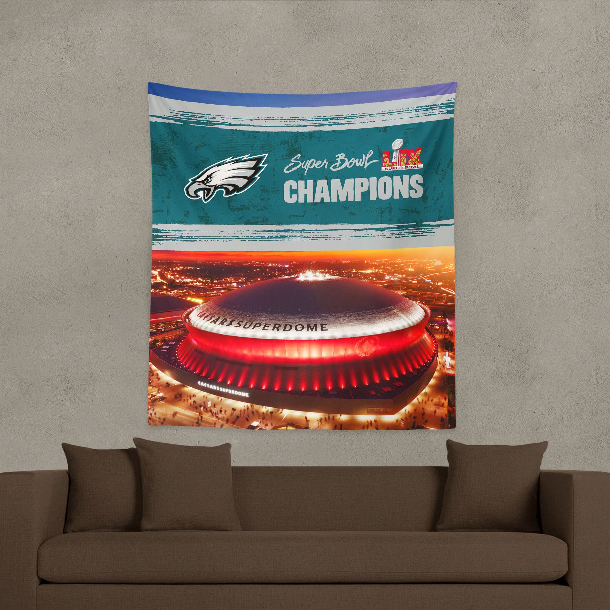 Northwest 2024-25 Super Bowl LIX Champions Philadelphia Eagles Small Wall Hang product image