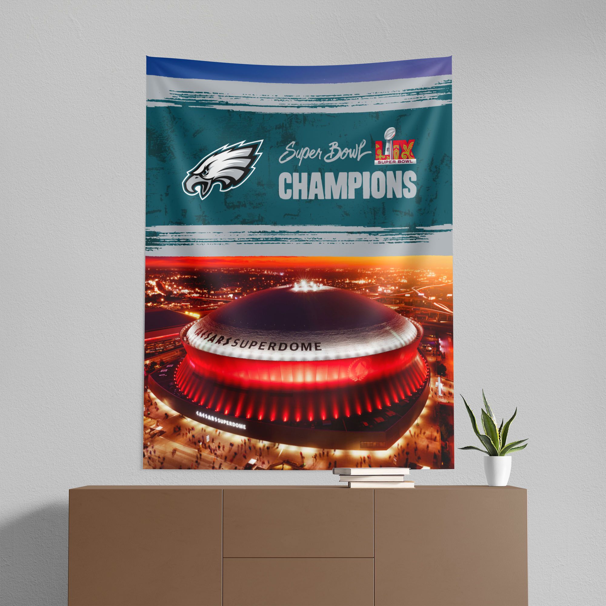 Northwest 2024-25 Super Bowl LIX Champions Philadelphia Eagles Small Wall Hang product image